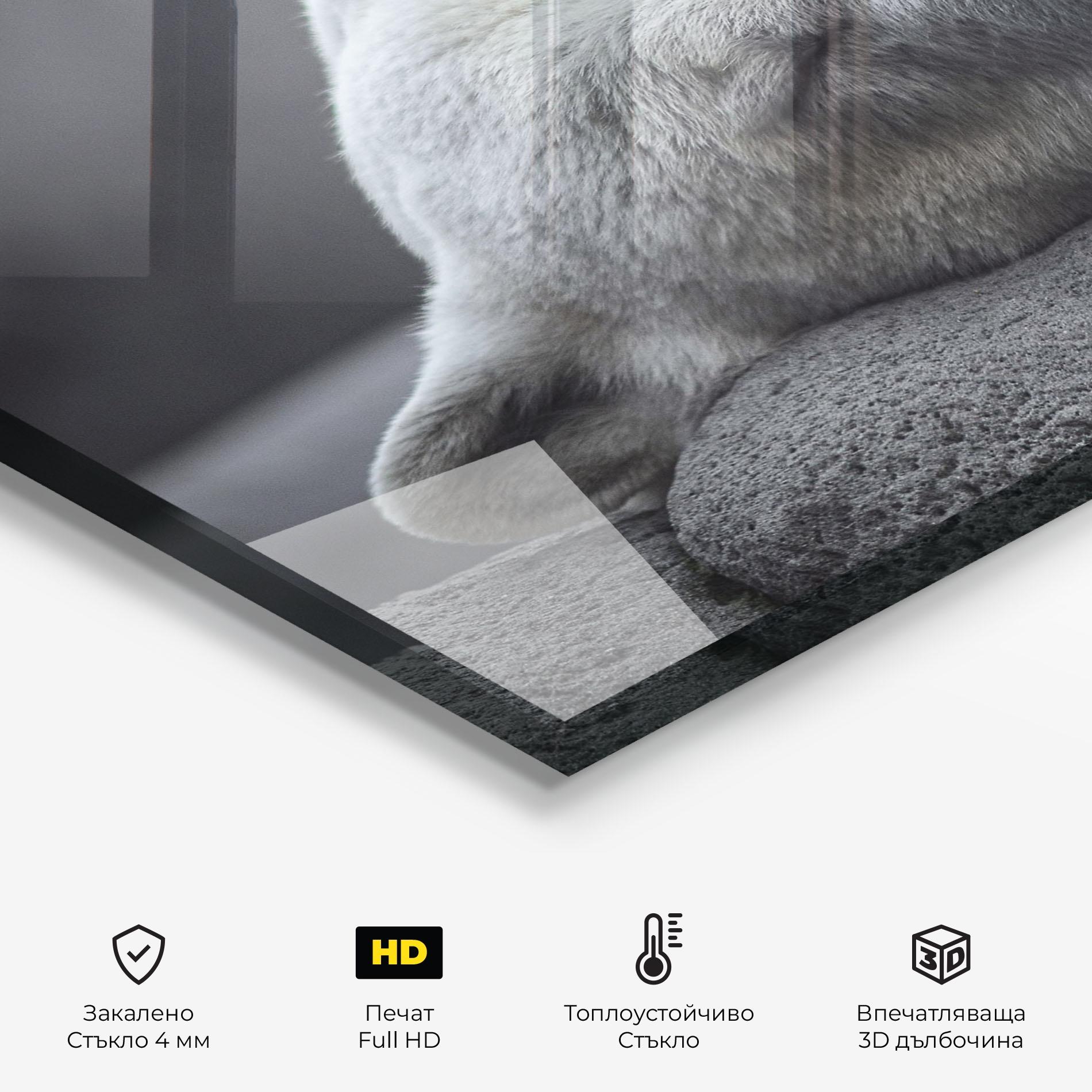 Стъклен панел за кухня Icebear Sleeping mockup 2
