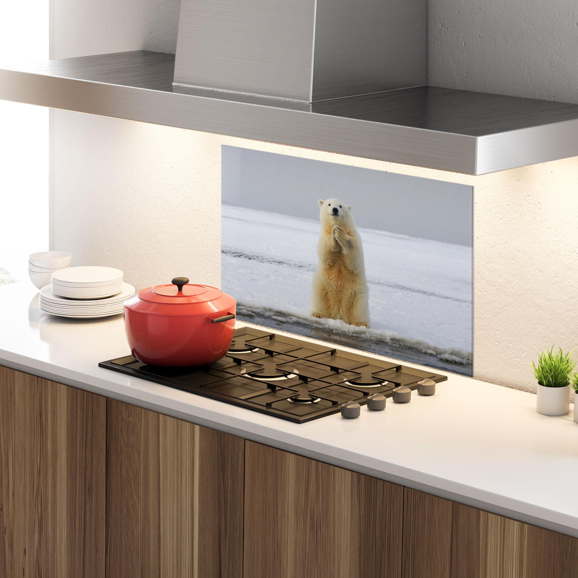 Стъклен панел за кухня Icebear Praying mockup 4