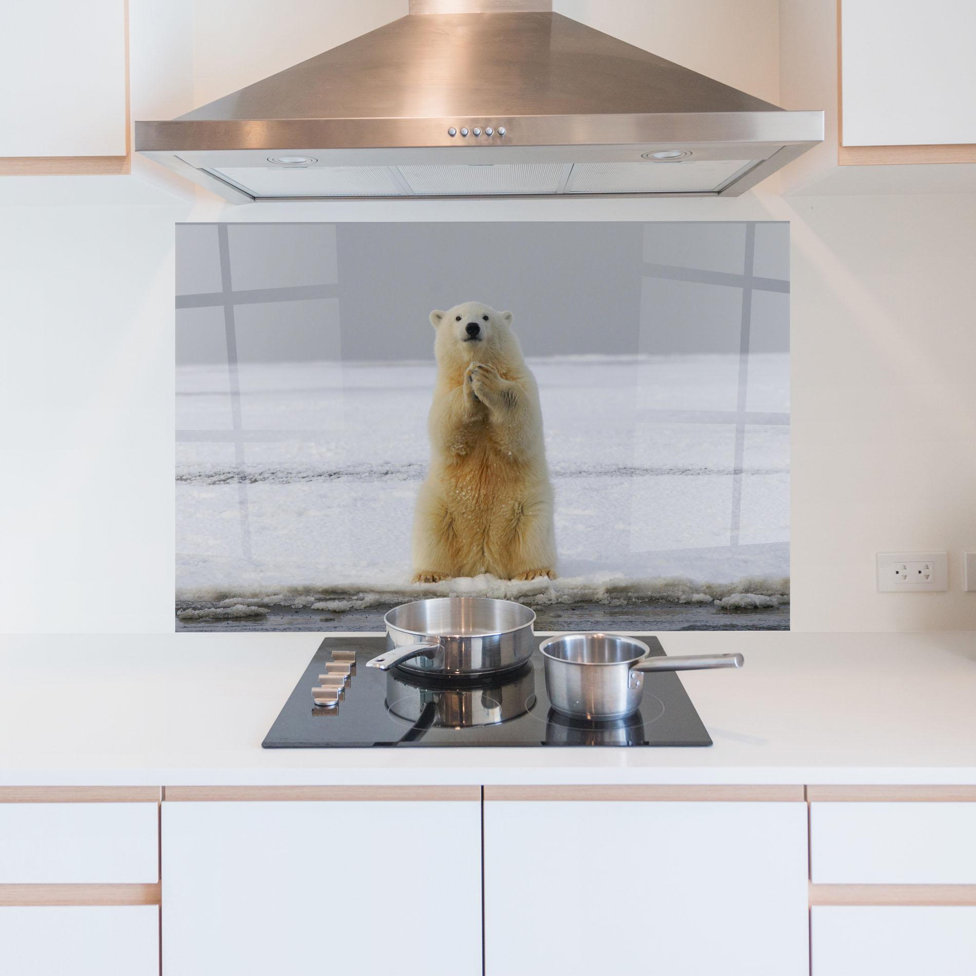 Стъклен панел за кухня Icebear Praying mockup 5