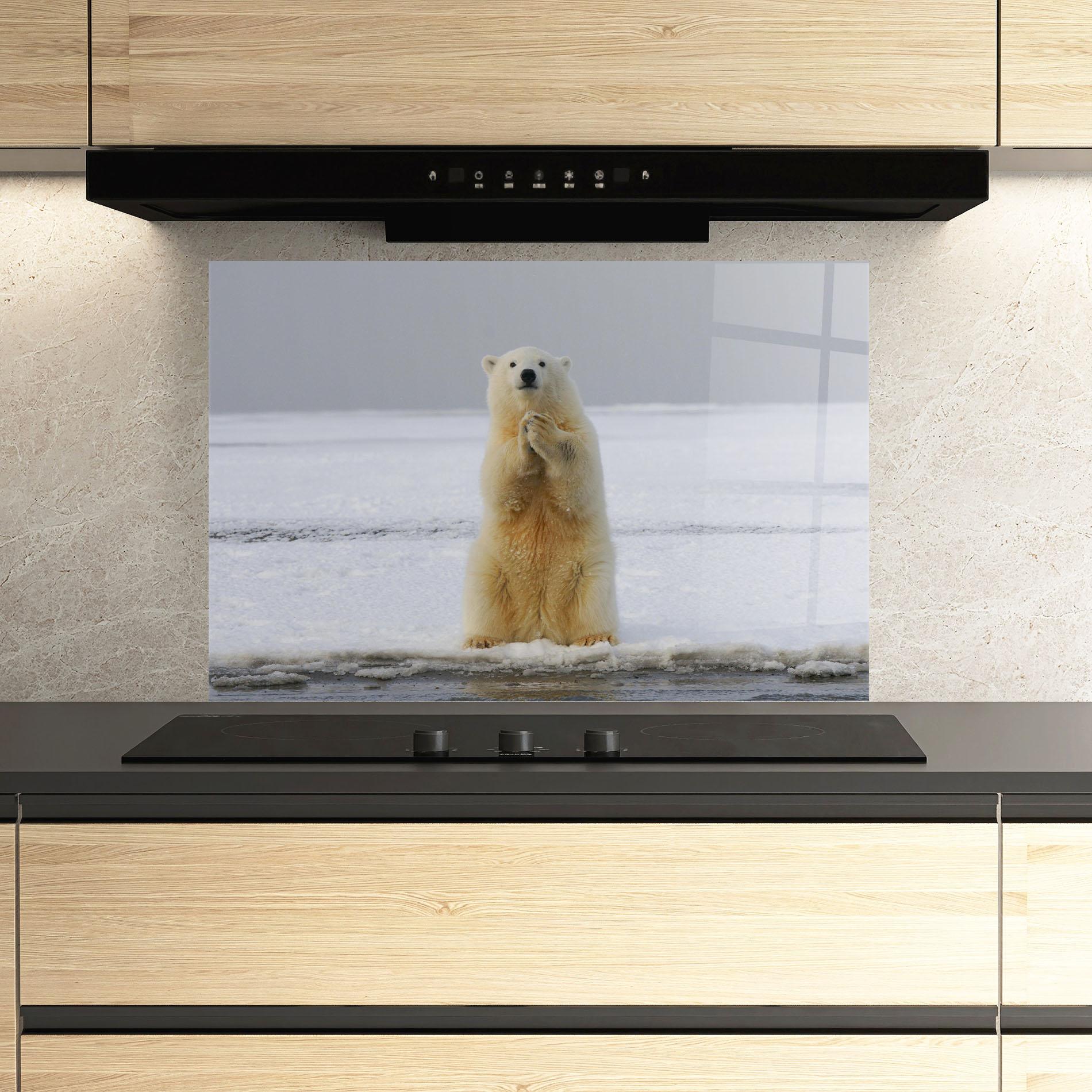 Стъклен панел за кухня Icebear Praying mockup 3