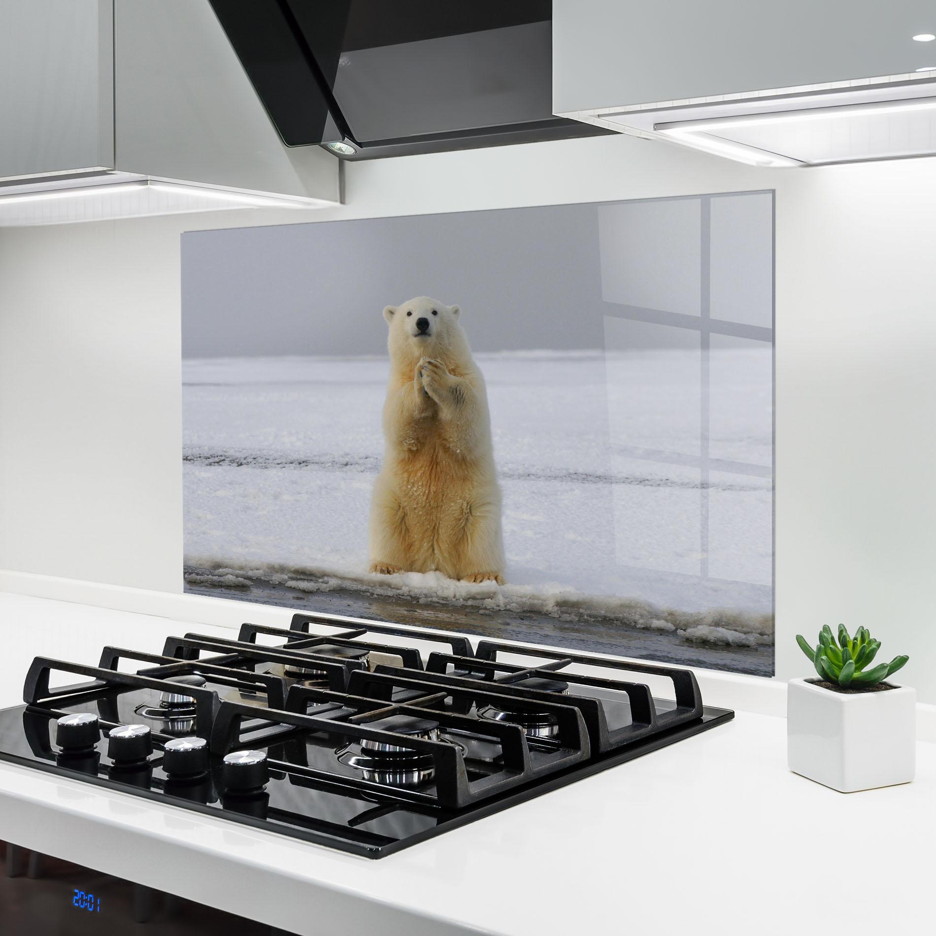 Стъклен панел за кухня Icebear Praying mockup 6