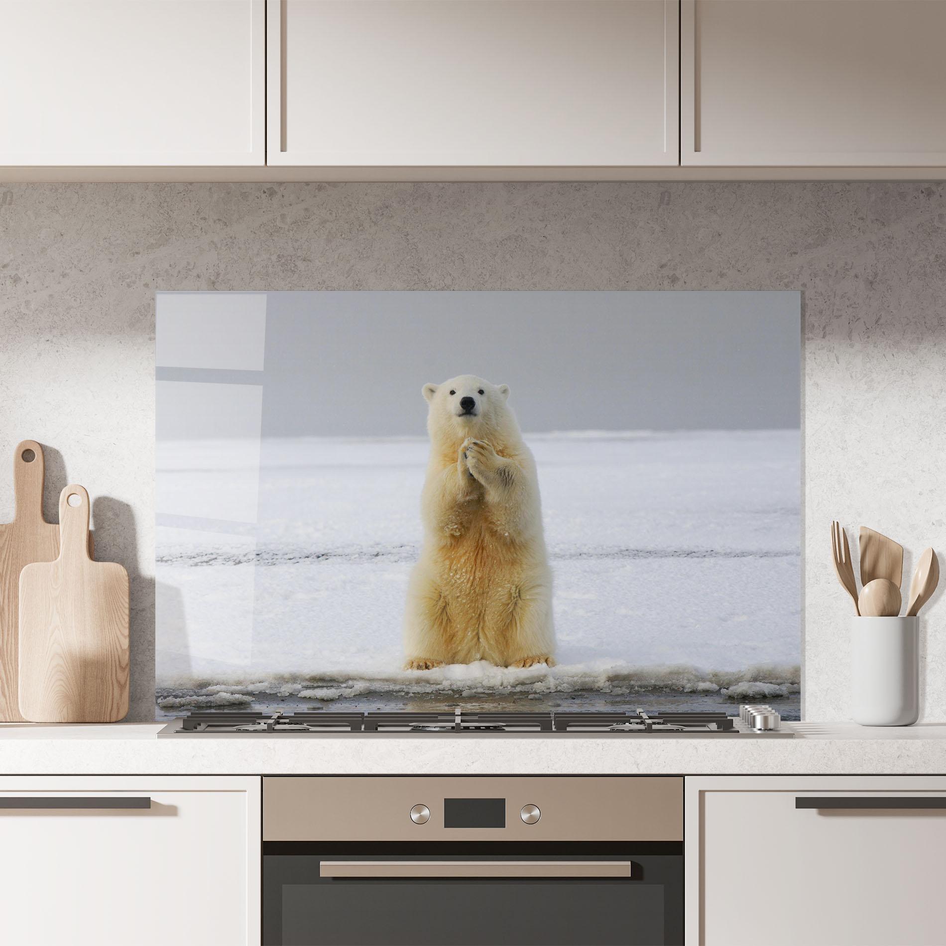 Стъклен панел за кухня Icebear Praying mockup 7