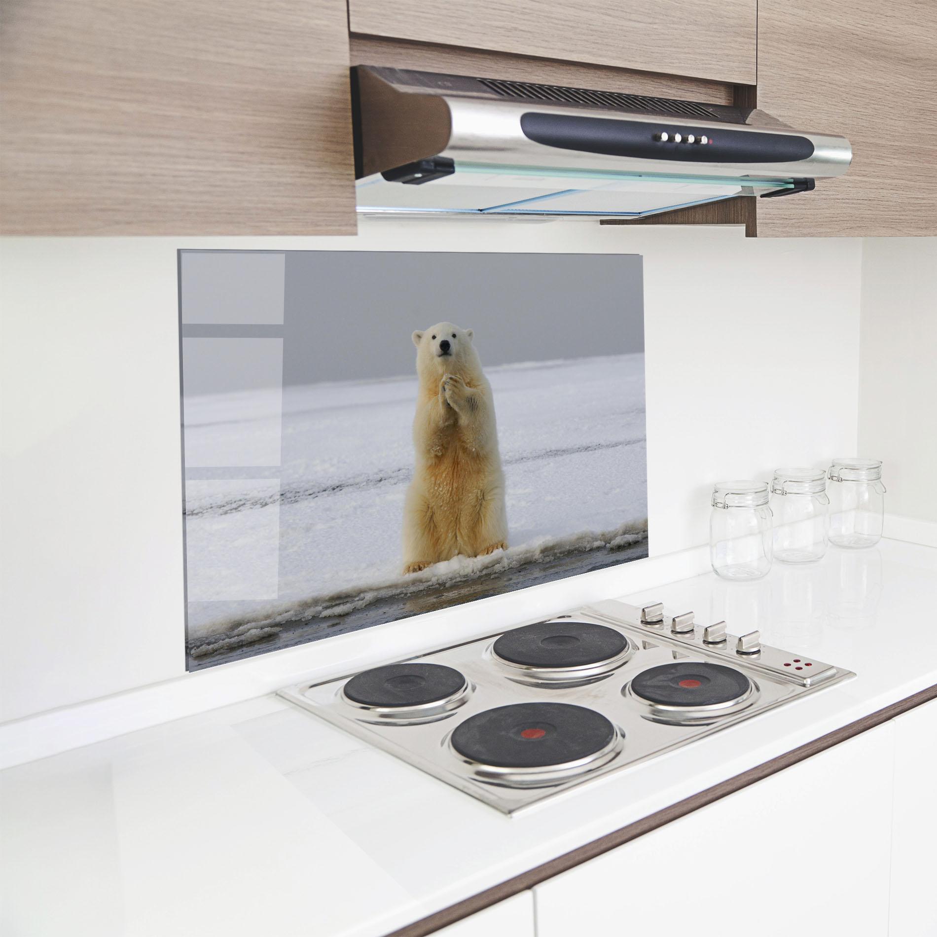 Стъклен панел за кухня Icebear Praying mockup 8