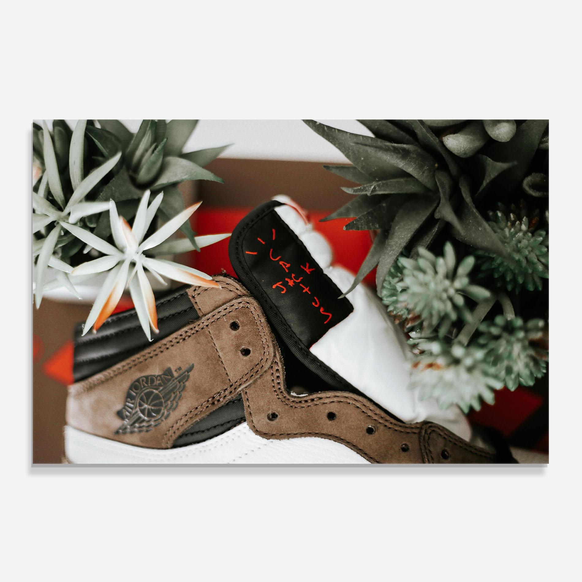 Стъклен панел за кухня Brown Air Jordan mockup 0