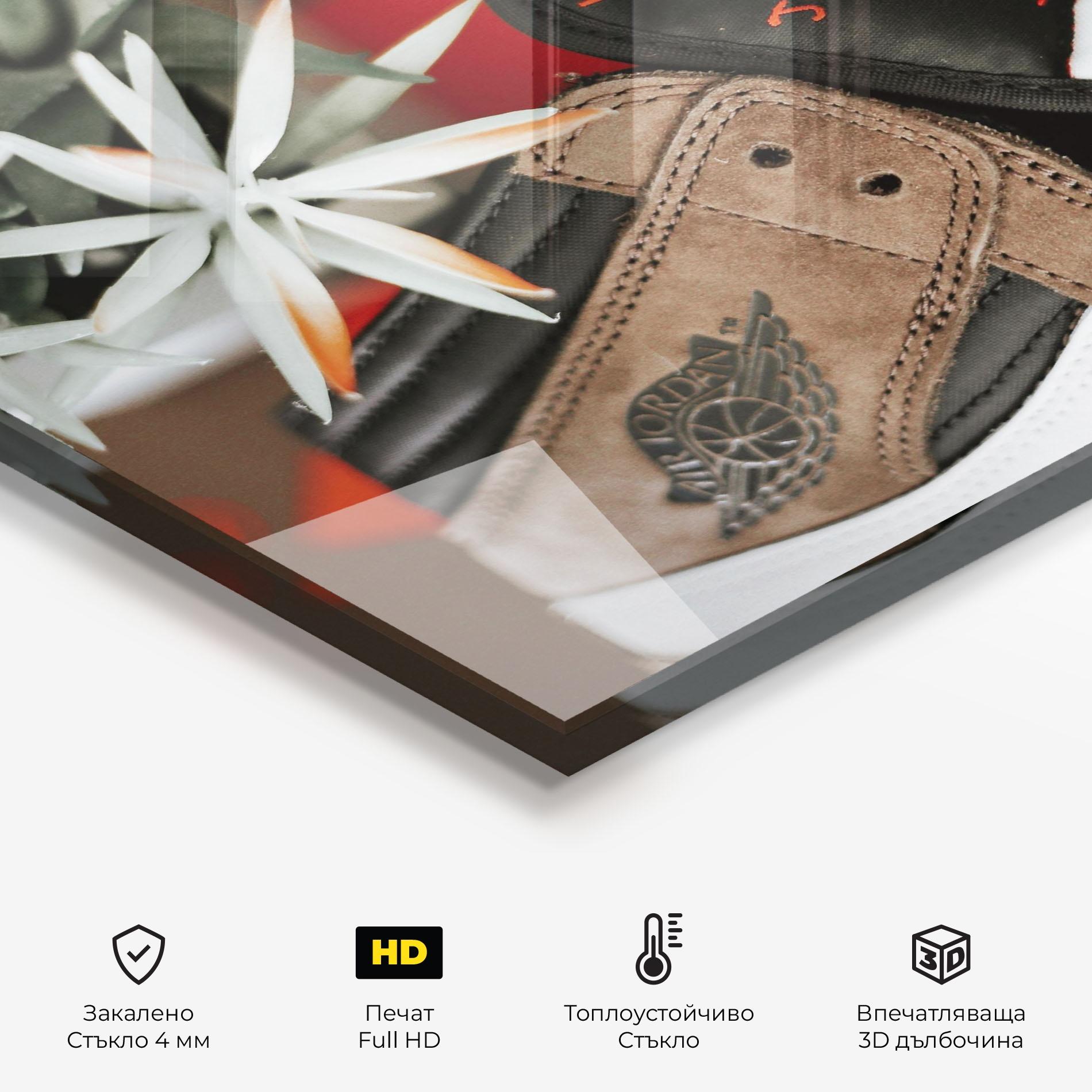 Стъклен панел за кухня Brown Air Jordan mockup 2