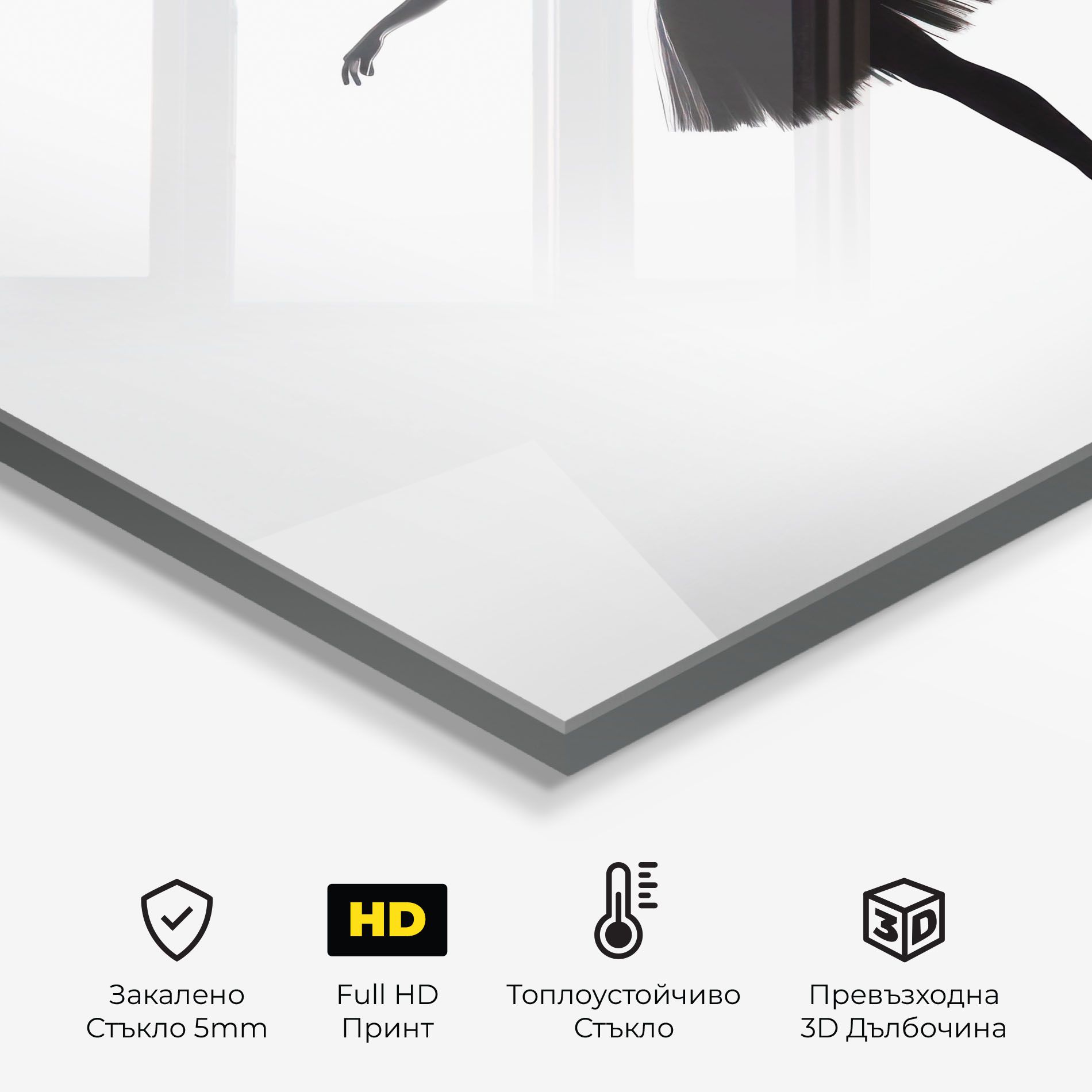 Ballerina Shilouette mockup 2