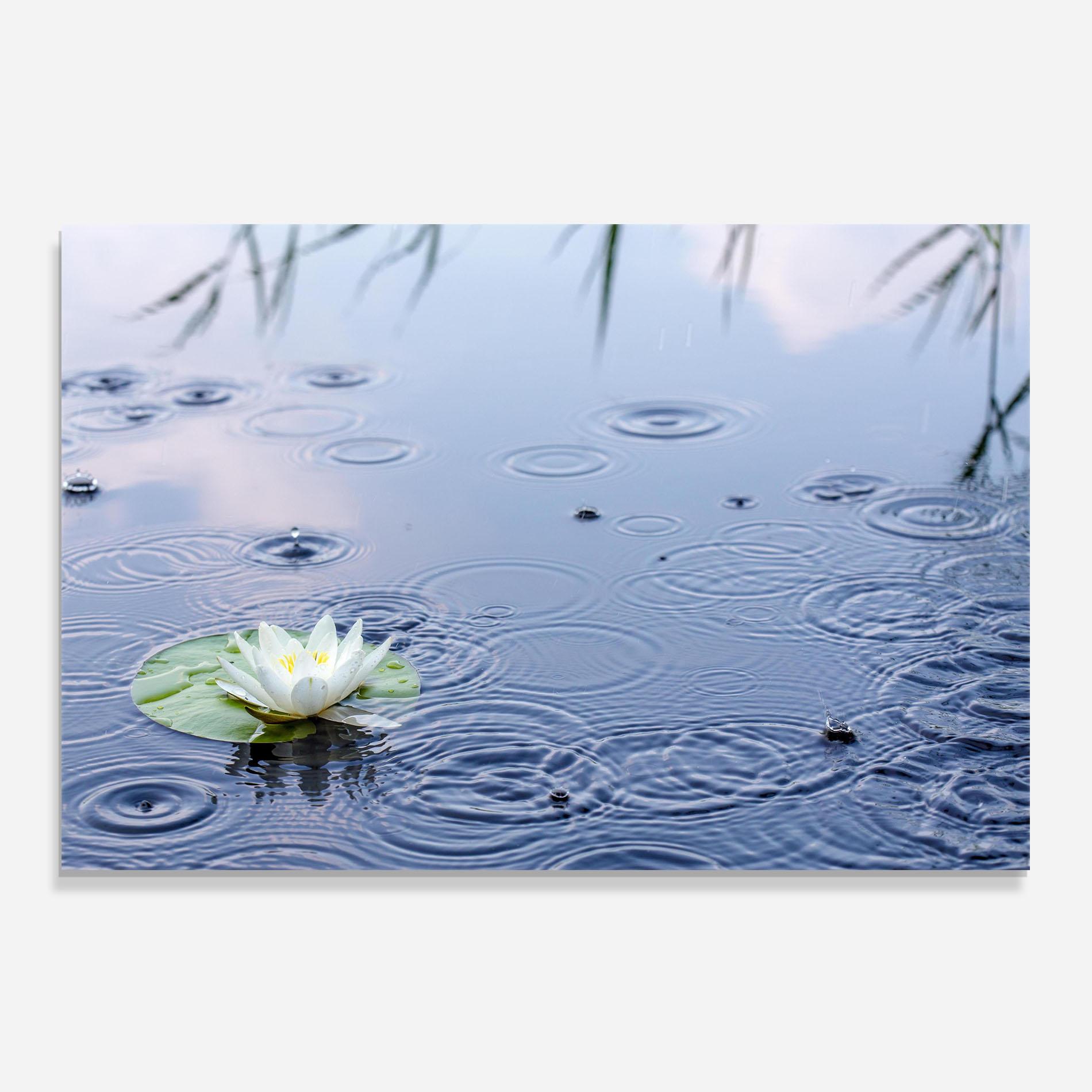 Стъклен панел за кухня Clear Lake Rain mockup 0