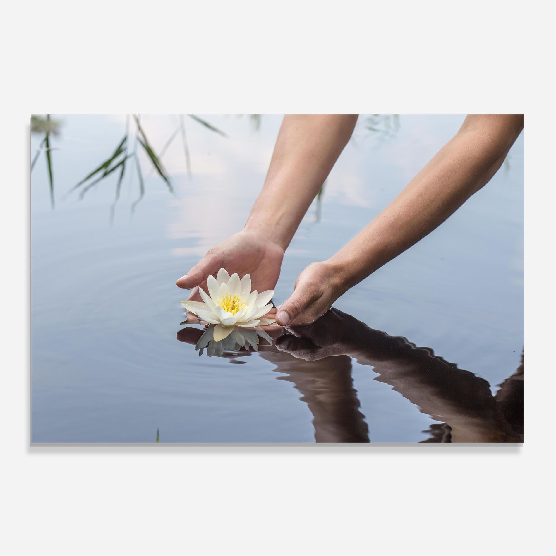 Holding Lake Flower mockup 0