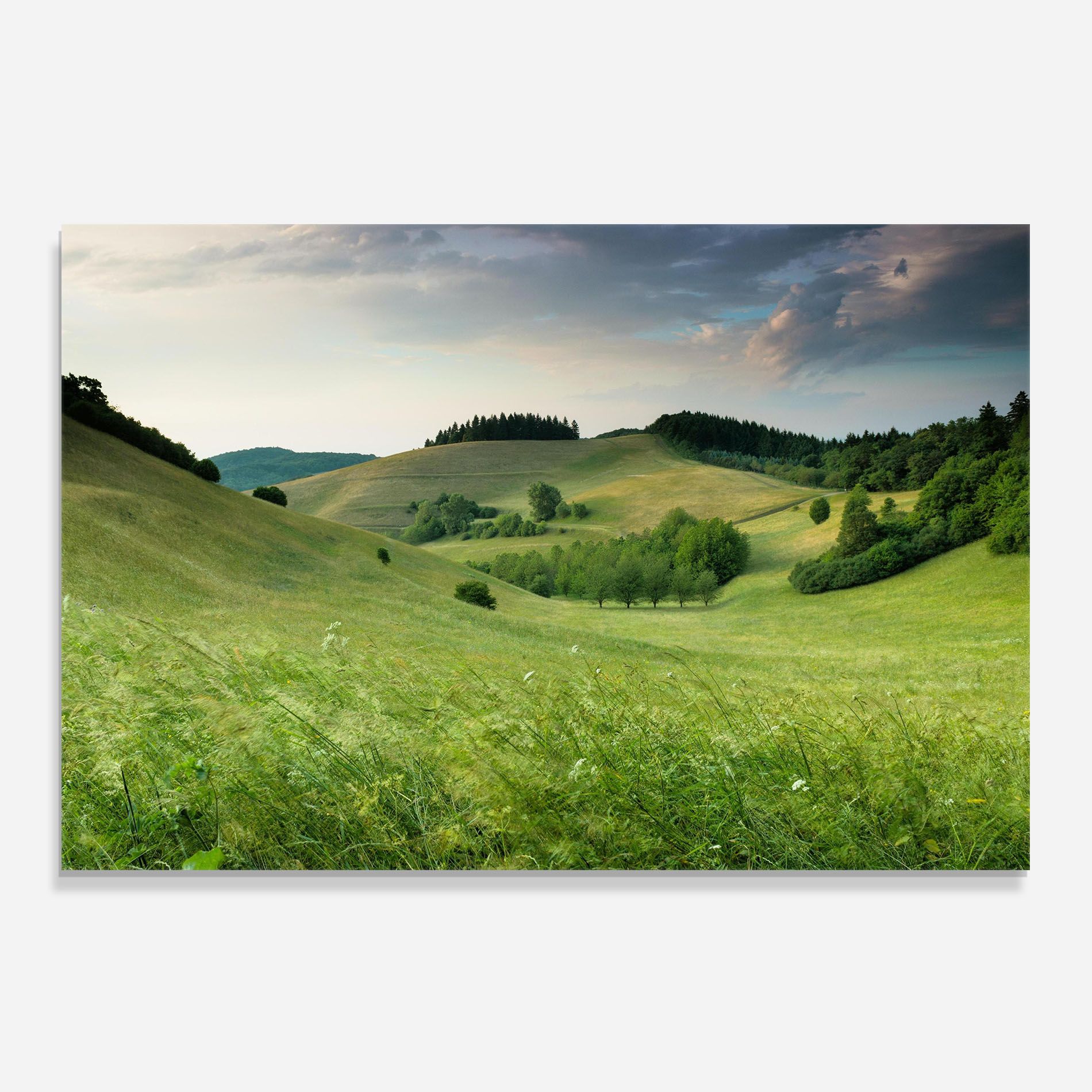 Green Field View mockup 0