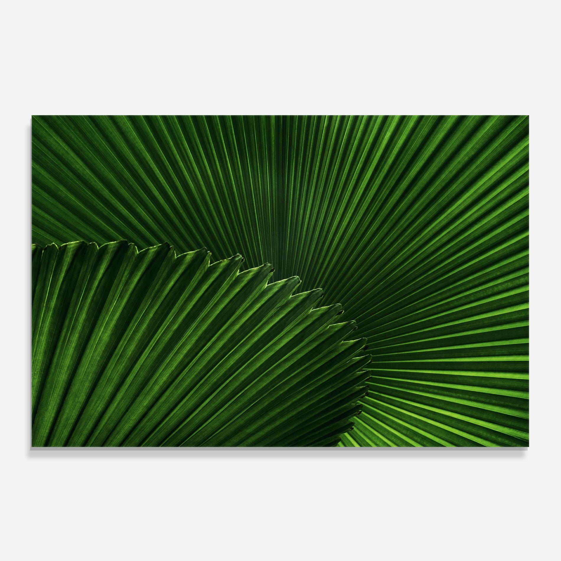 Стъклен панел за кухня Strong Green Leaf Art mockup 0