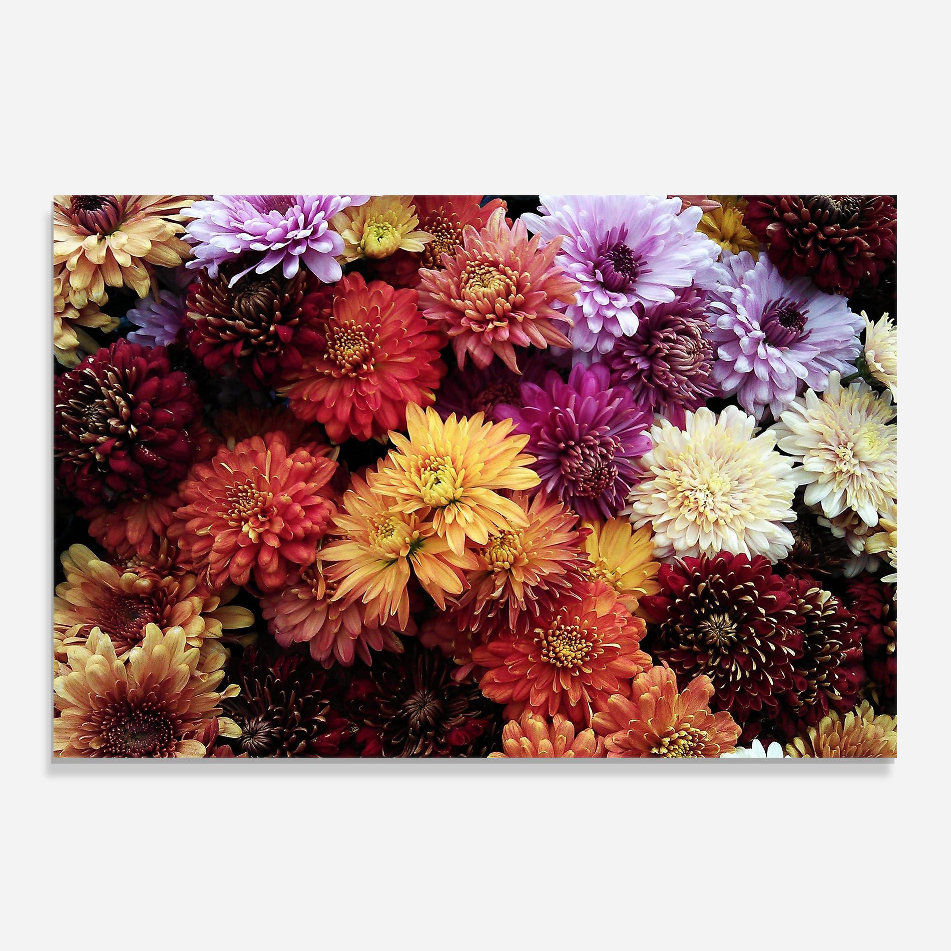 Flower Wall mockup 0