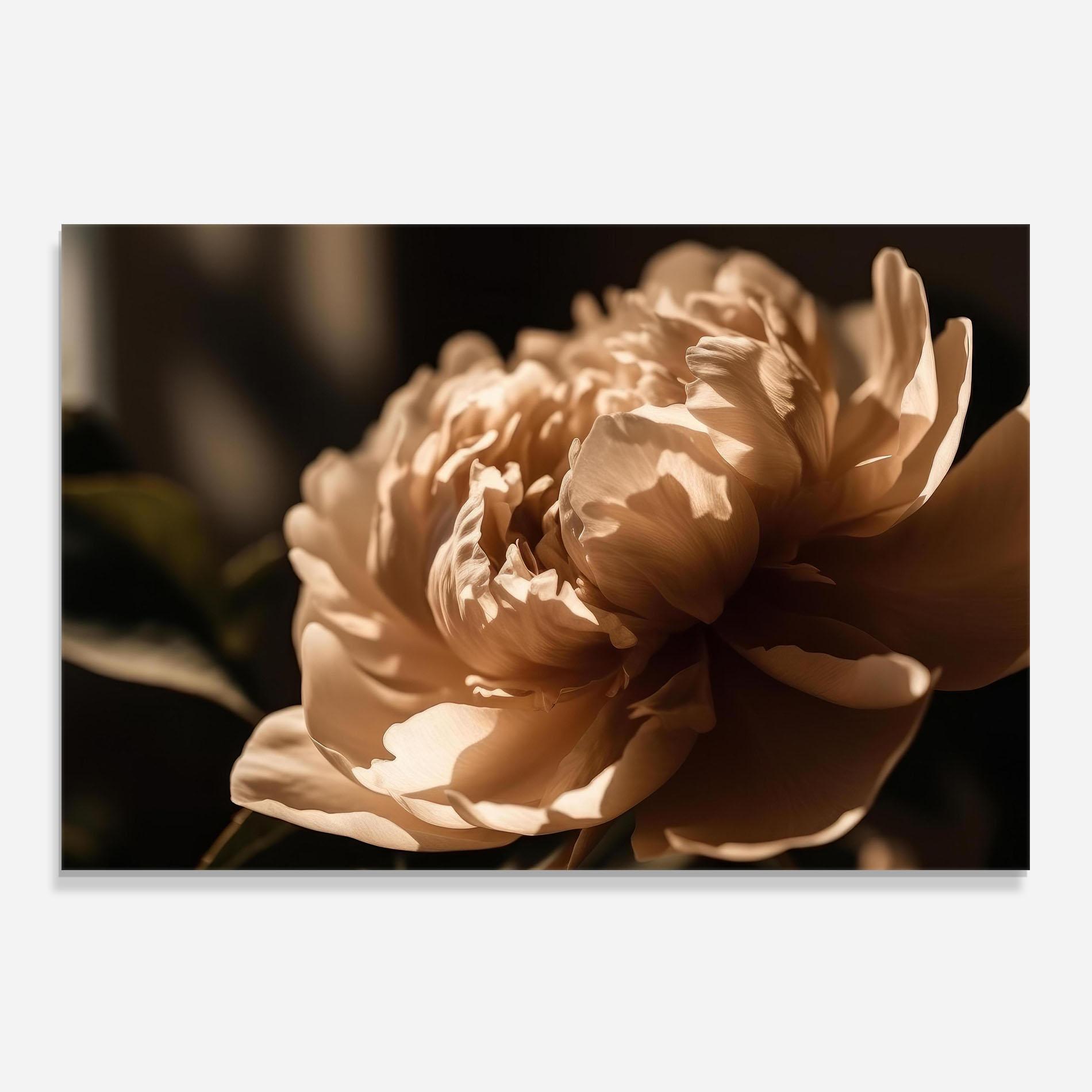 Стъклен панел за кухня Cream Peony mockup 0