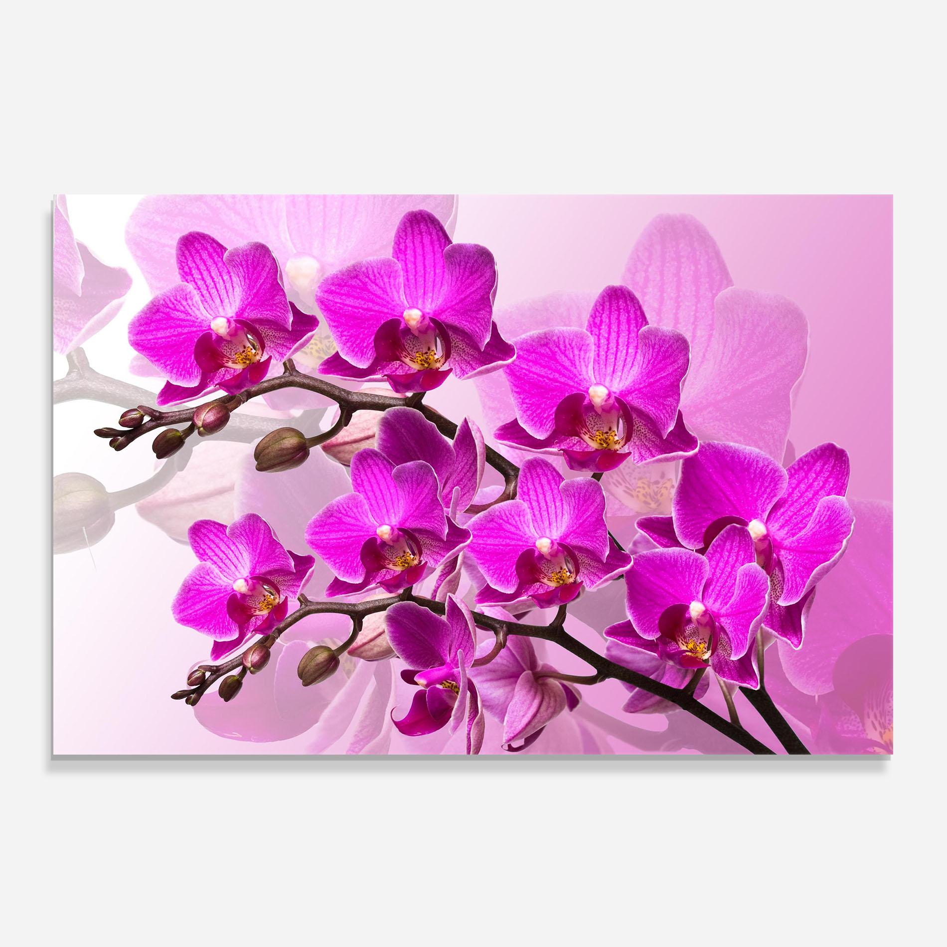 Стъклен панел за кухня Flori Roz mockup 0