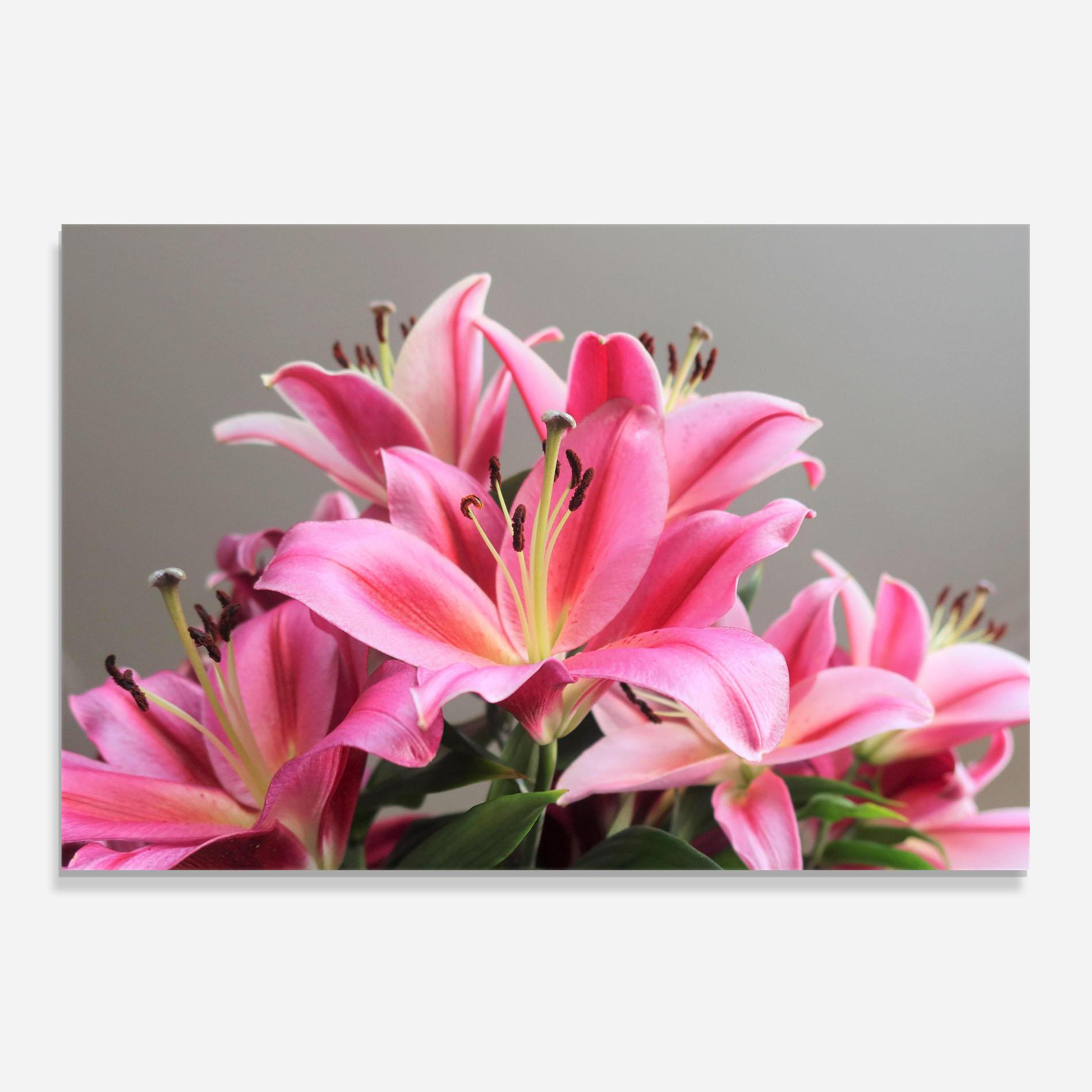 Стъклен панел за кухня Light Pink Lily View mockup 0