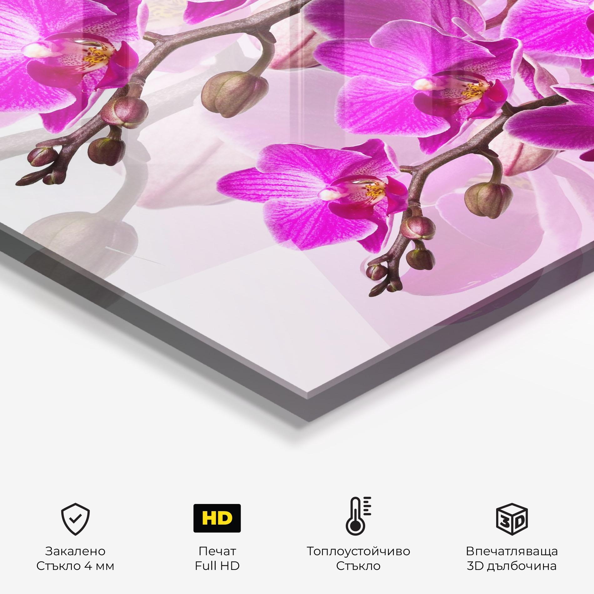 Стъклен панел за кухня Flori Roz mockup 2