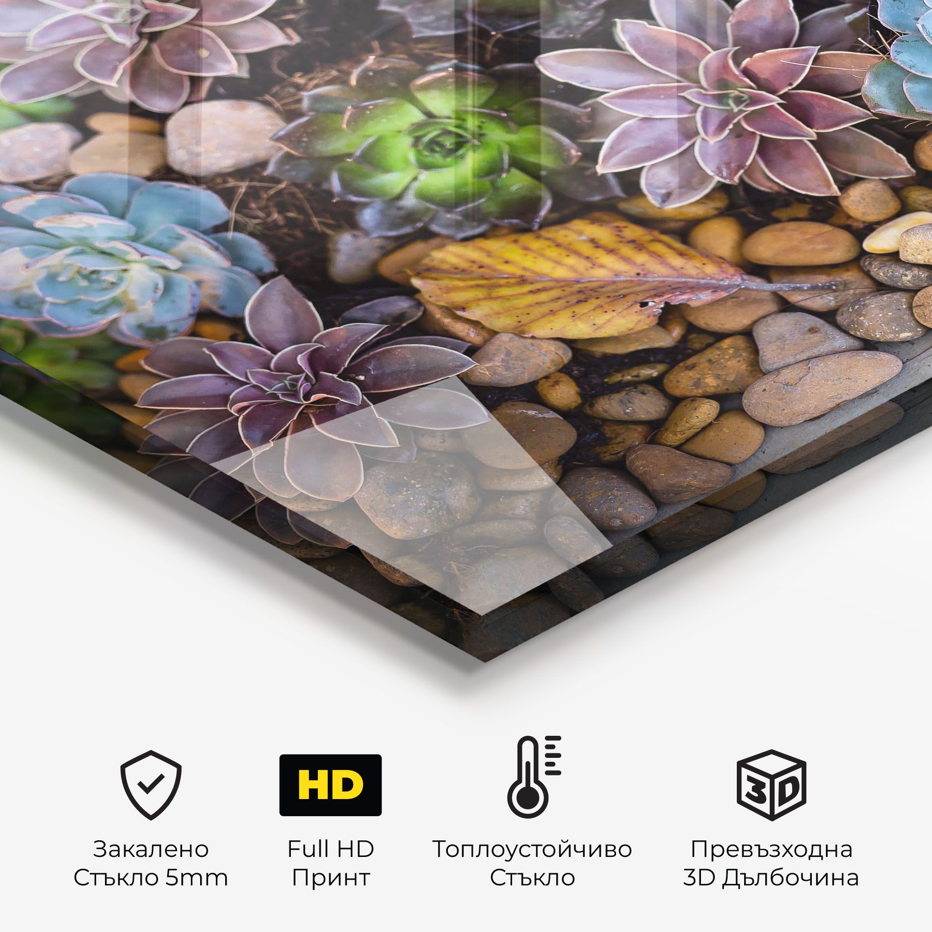 Colorful Flowers mockup 2