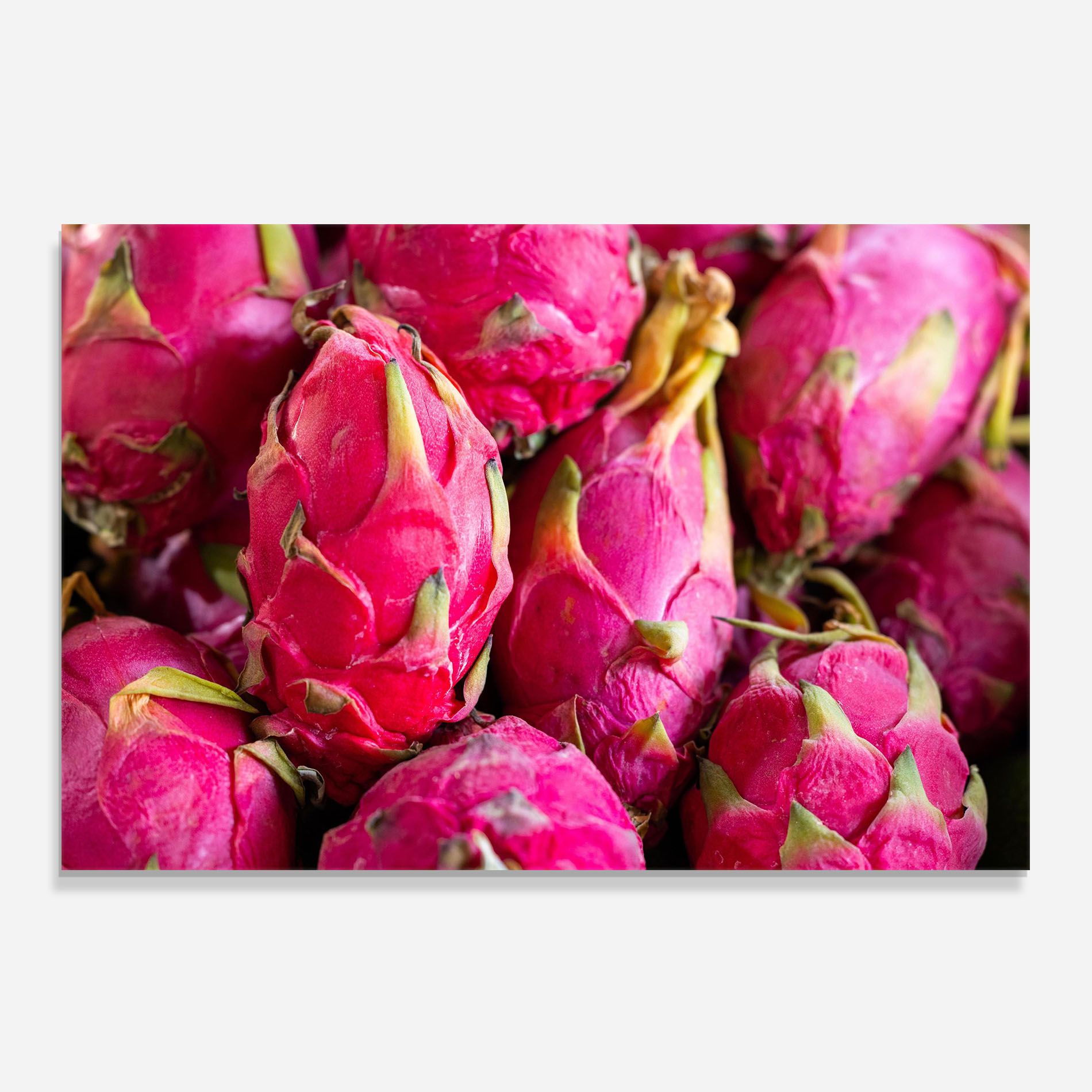 Engin Akyurt 1ejwr3oagkg Unsplash mockup 0