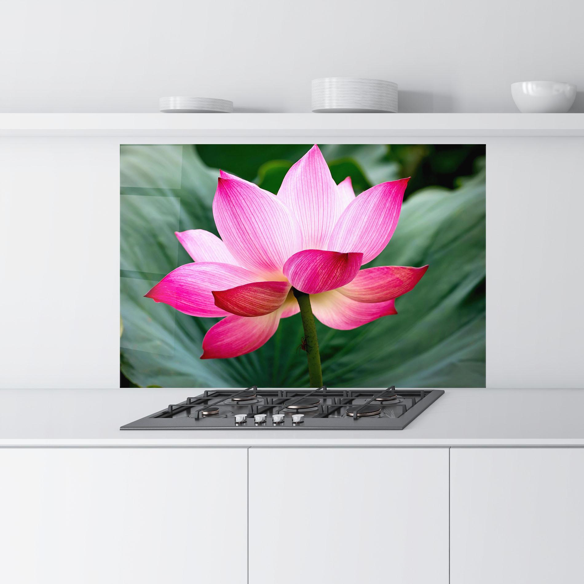 Стъклен панел за кухня Beautiful Pink Exotic mockup 9