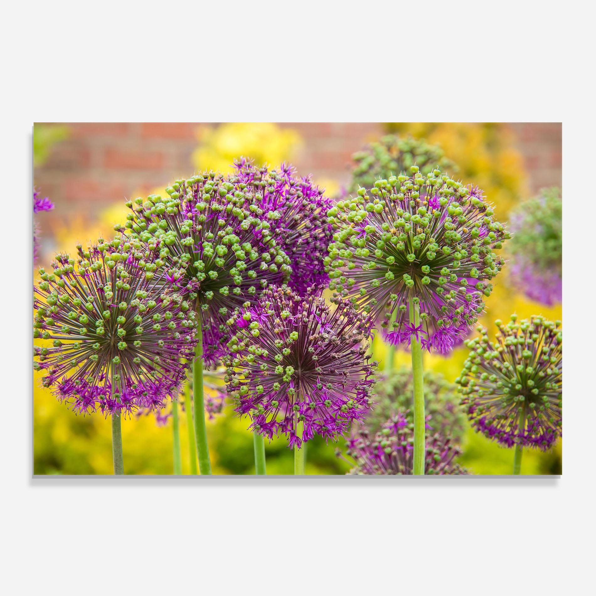 Стъклен панел за кухня Green Purple Garden mockup 0