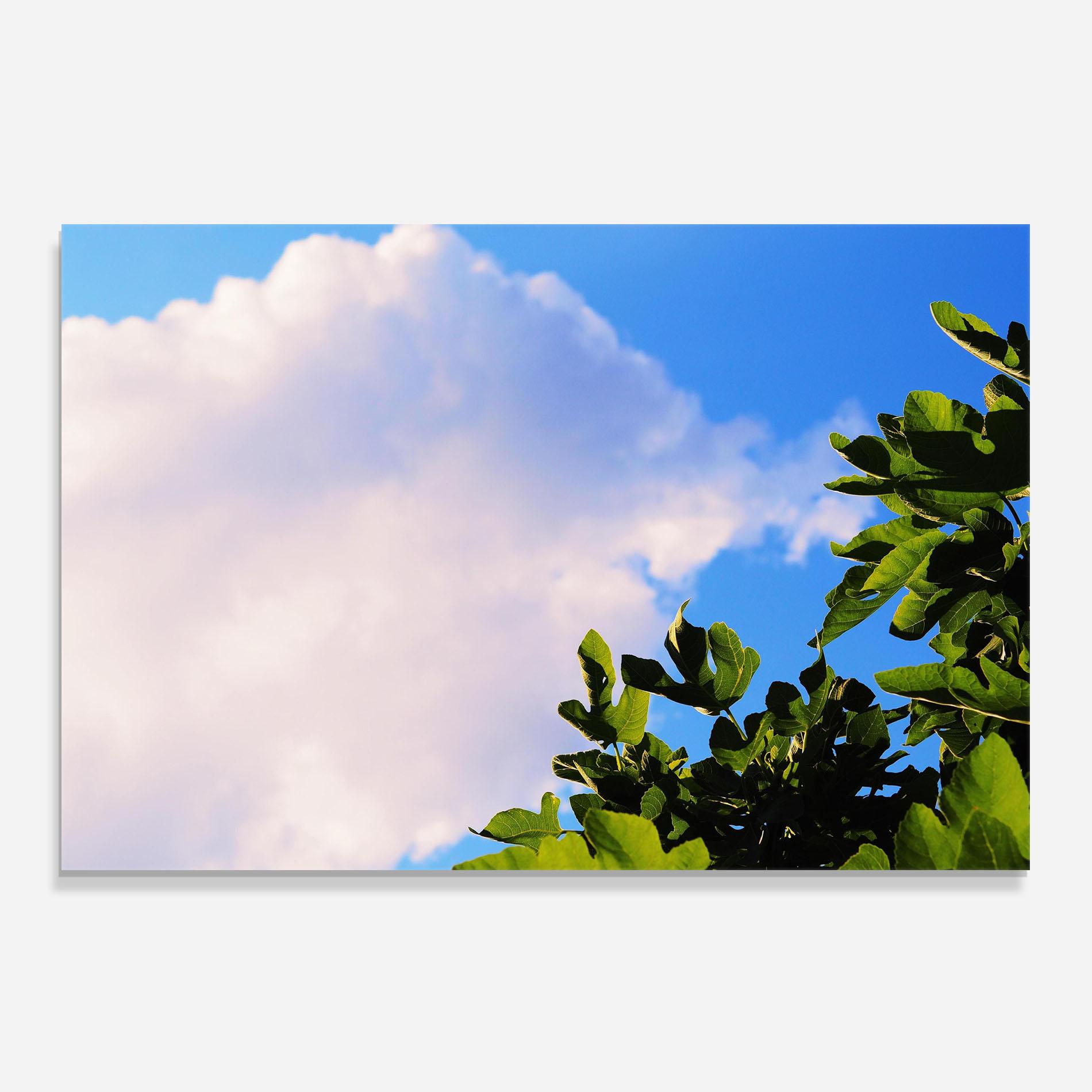 Стъклен панел за кухня J Cruikshank Lhzagi8n3oi Unsplash mockup 0