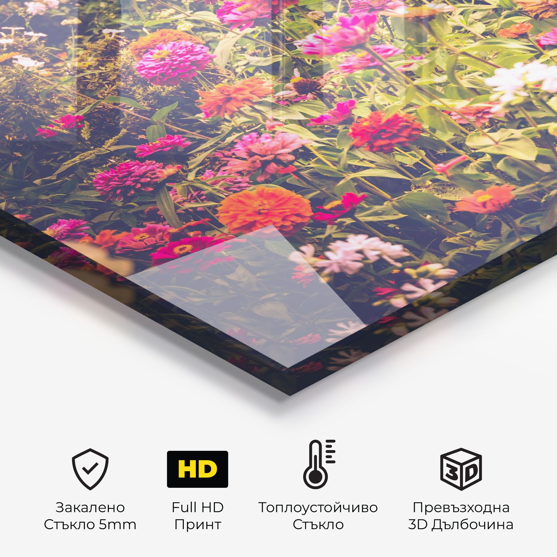 Colorful Wild Field mockup 2