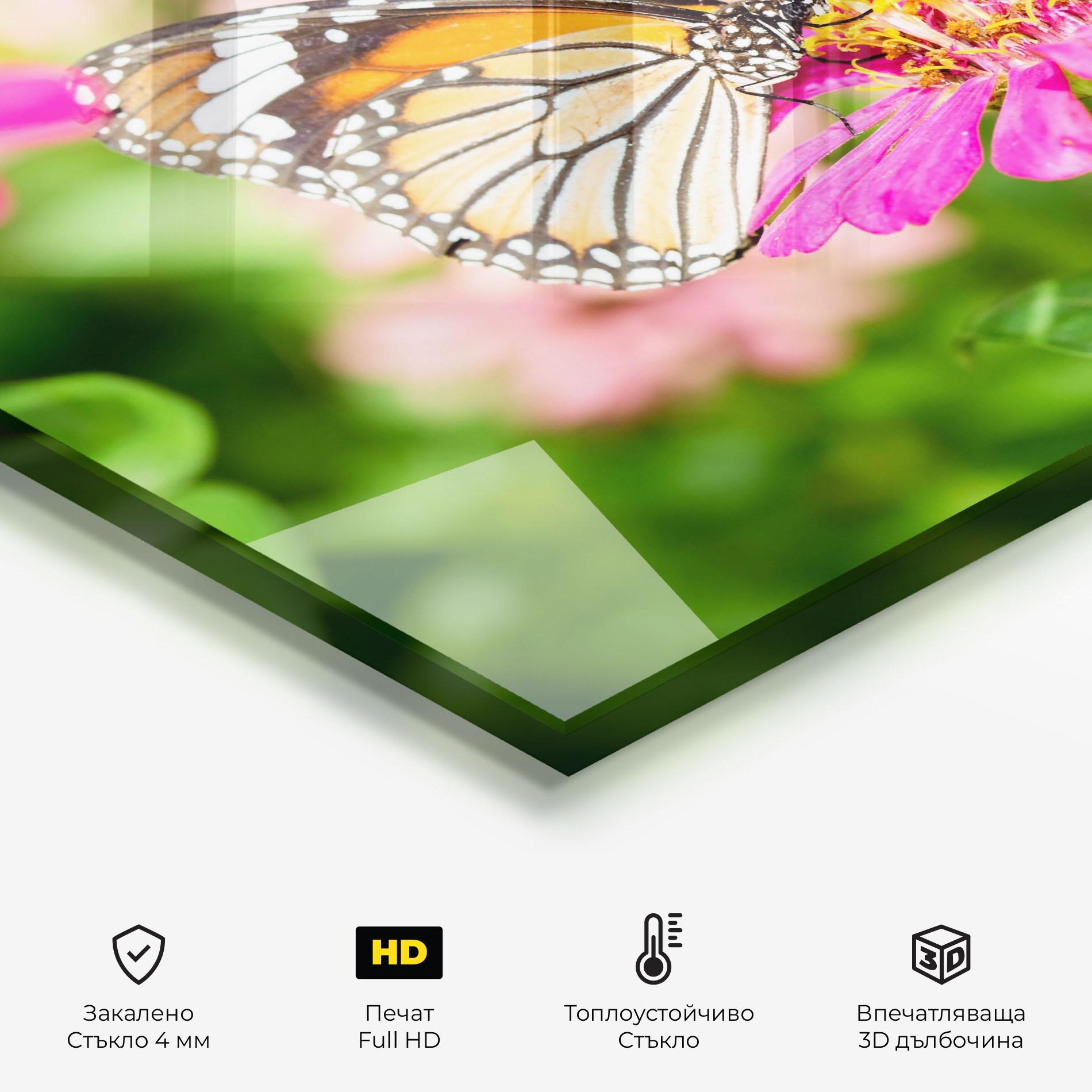 Стъклен панел за кухня Daylight Butterfly mockup 2