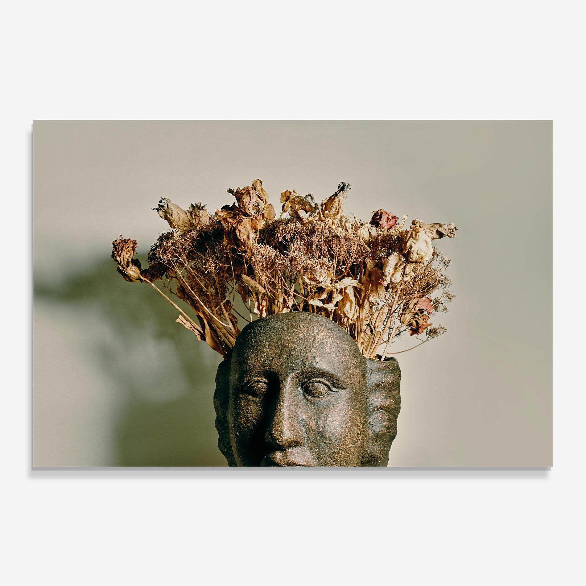 Стъклен панел за кухня Face Vase mockup 0