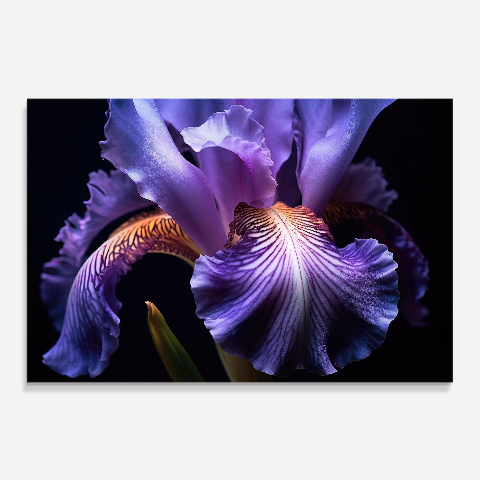Iris Beautiful Close Up mockup 0