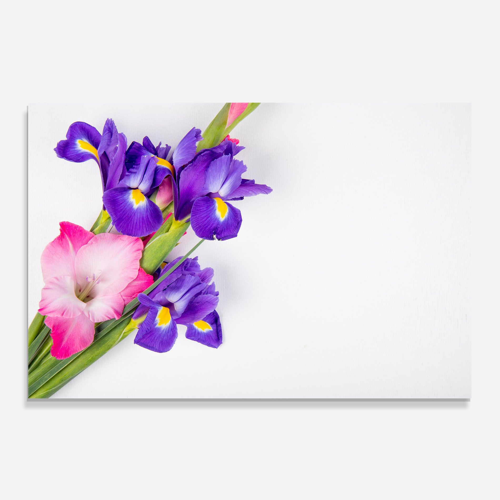 Iris On The Table mockup 0