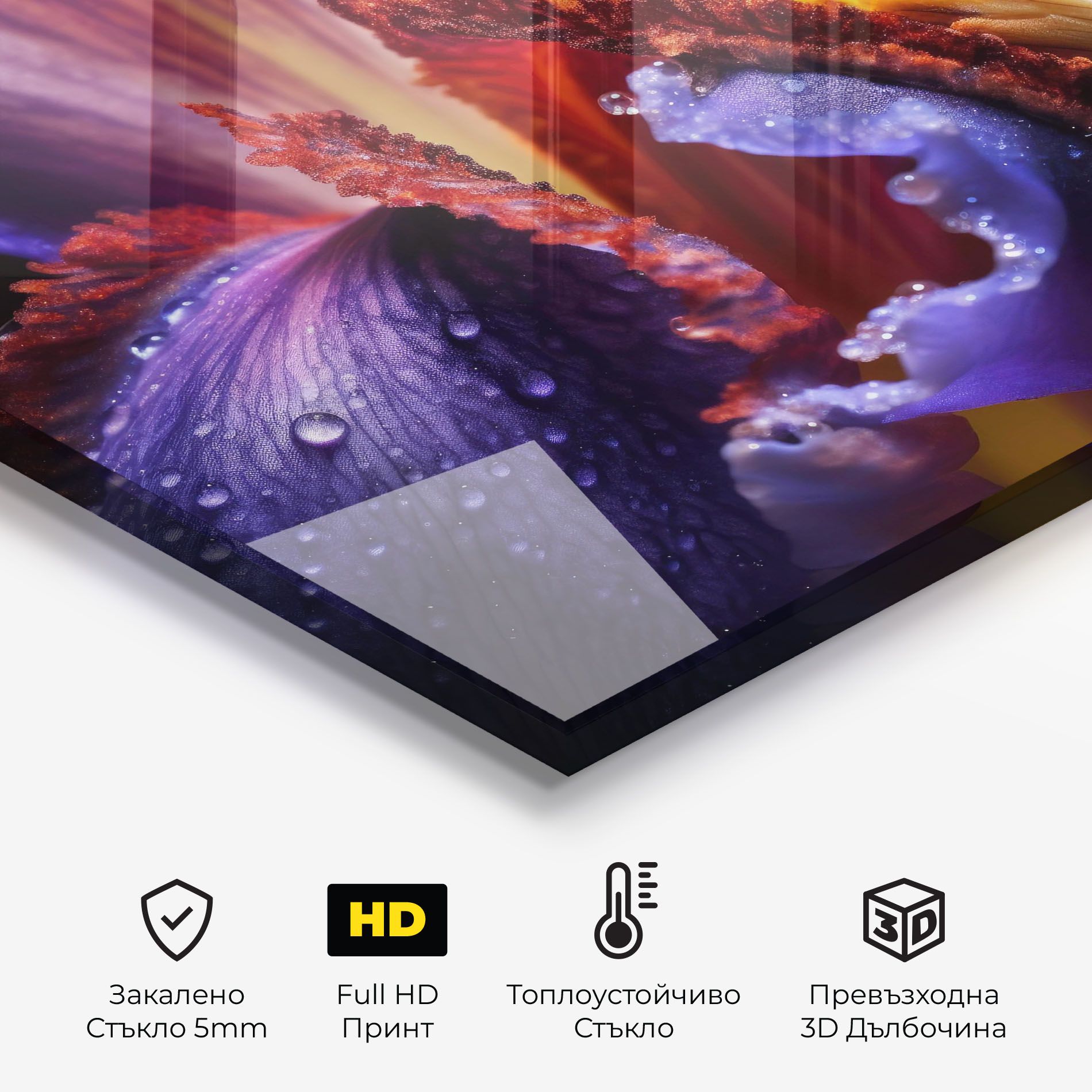 Close Up Blue Iris After Rain mockup 2