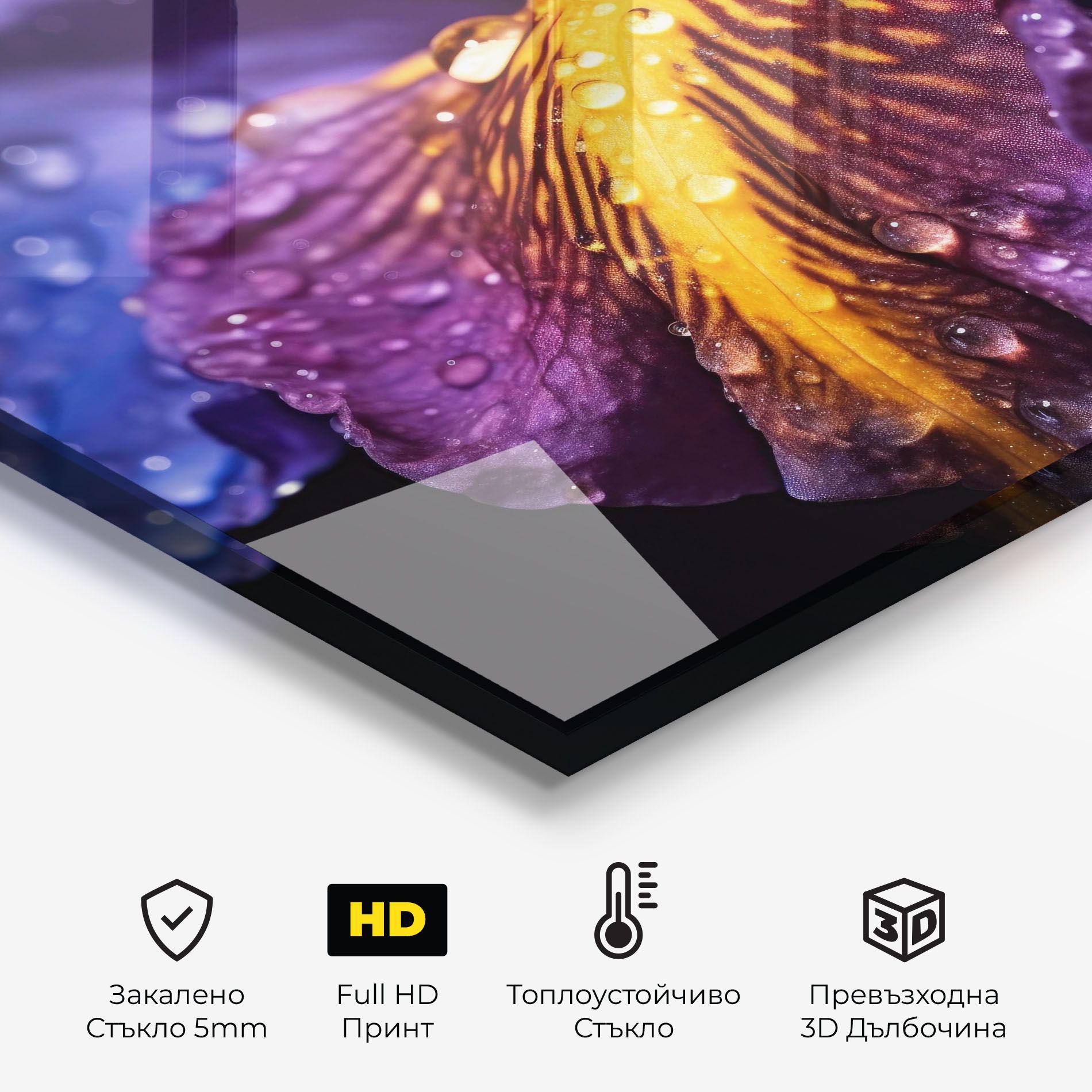 Close Up Iris After Rain mockup 2