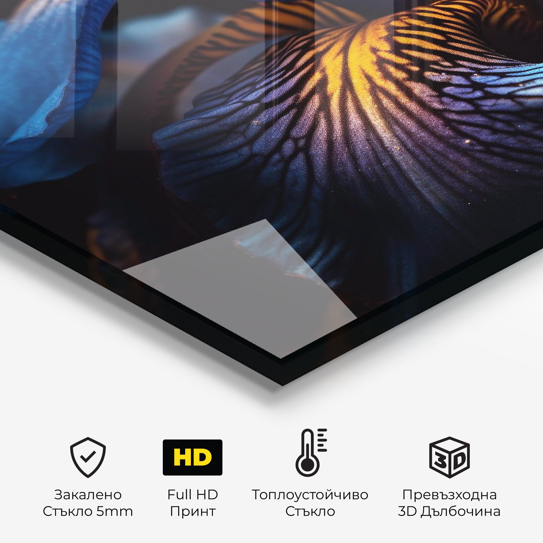 Dark Yellow Iris mockup 2