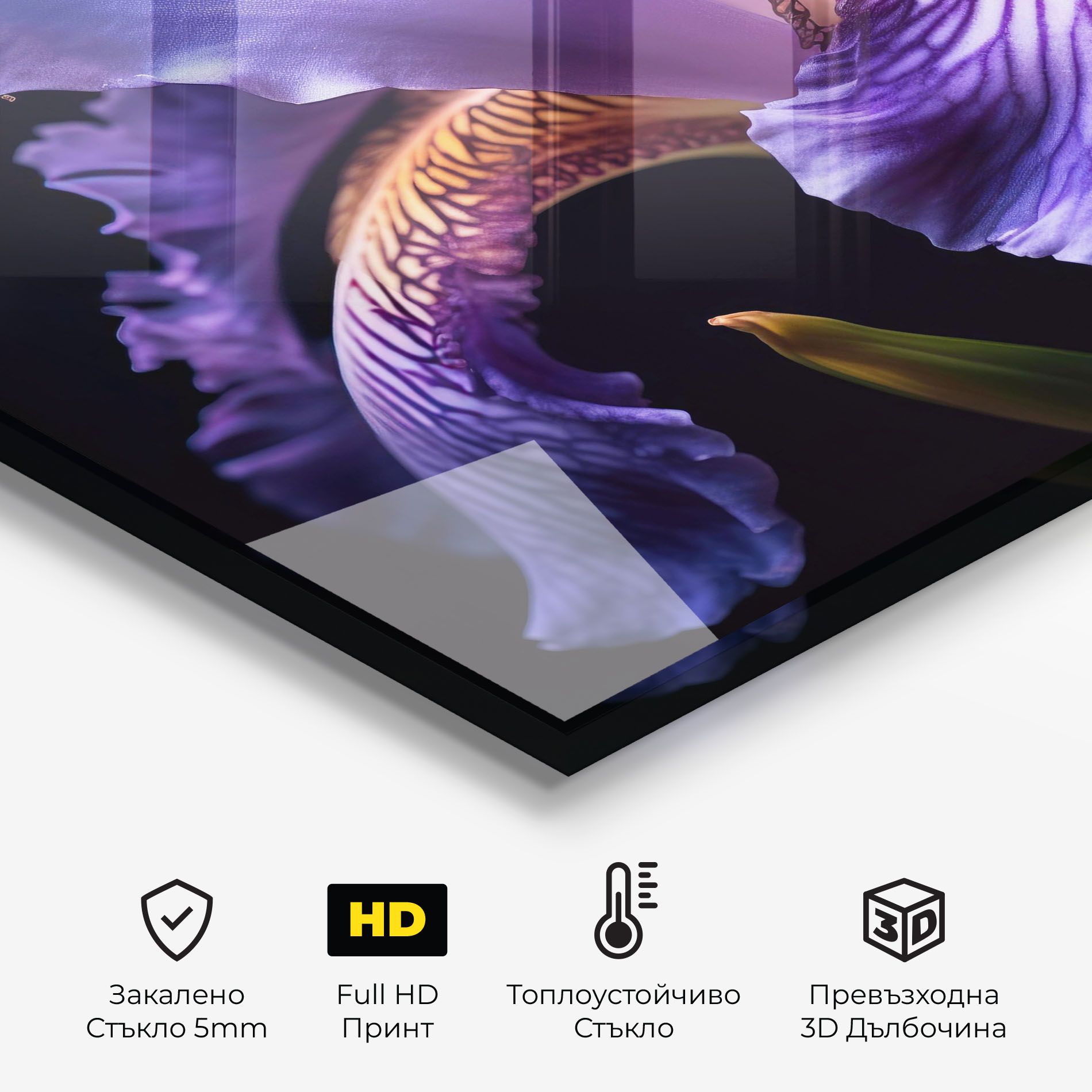 Iris Beautiful Close Up mockup 2