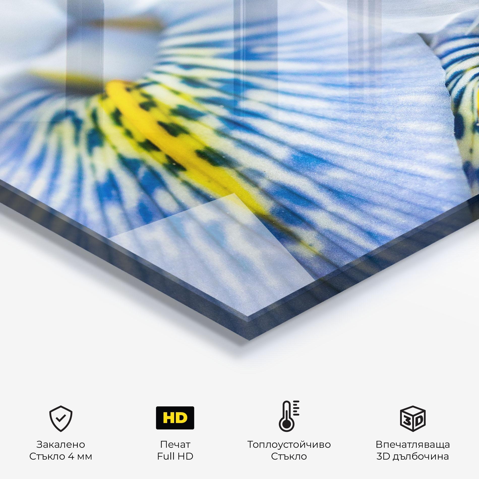 Стъклен панел за кухня Blue Yellow Iris mockup 2