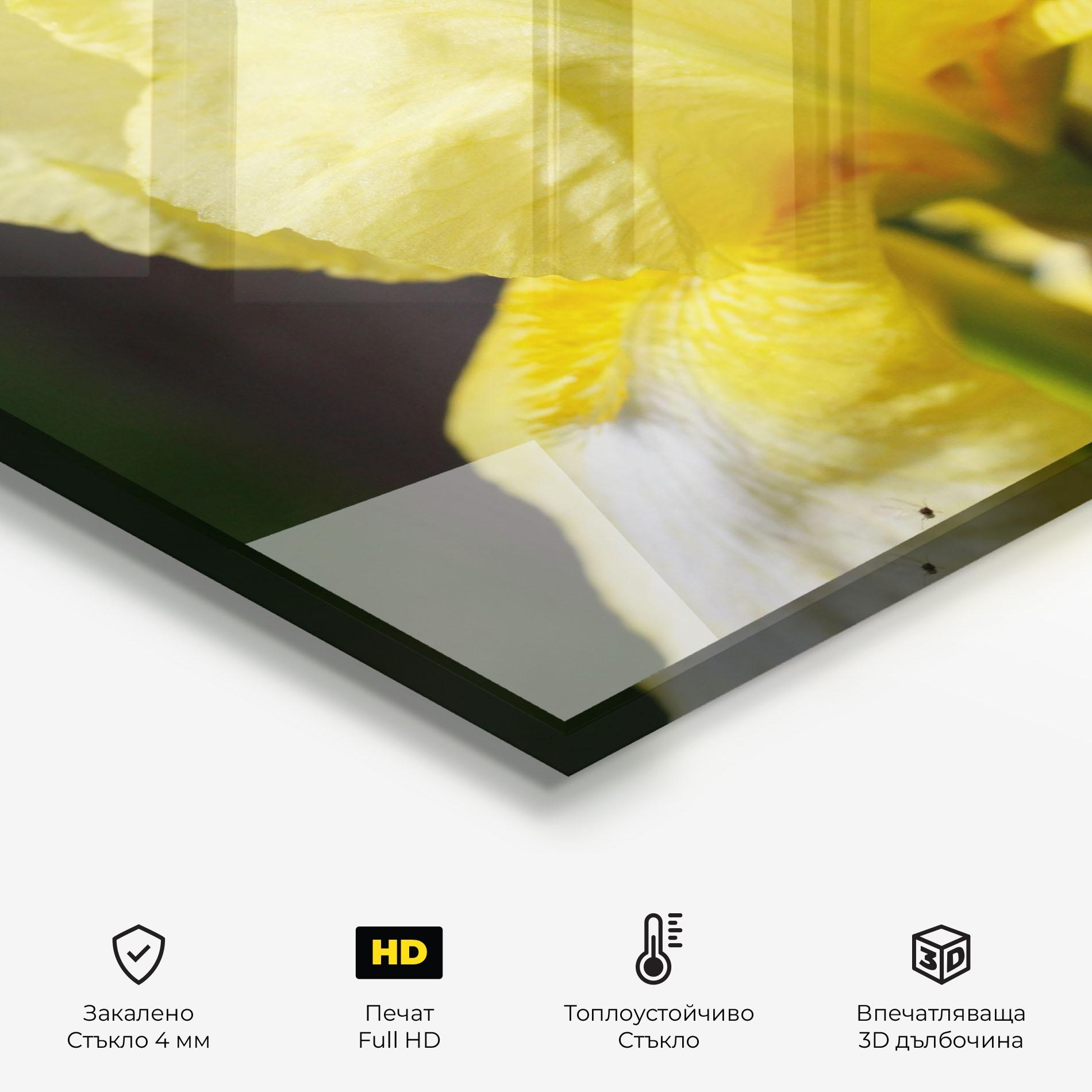 Стъклен панел за кухня Garden Yellow Iris mockup 2