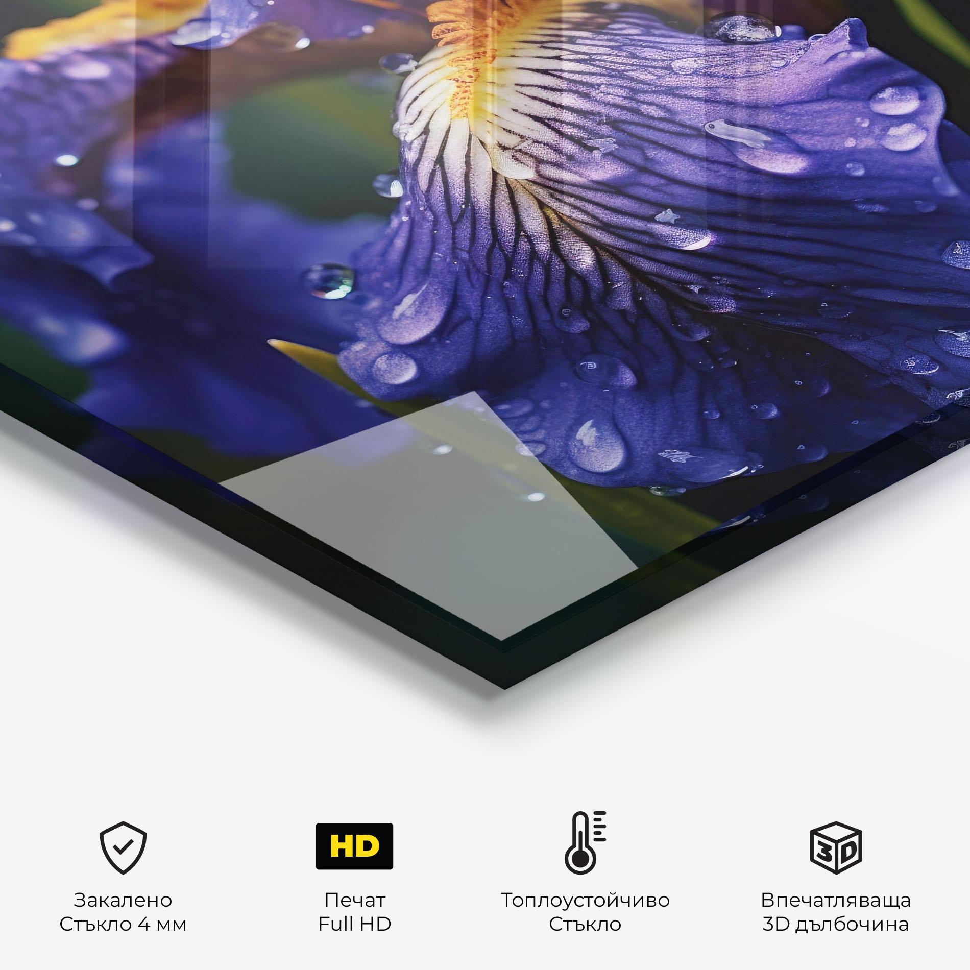 Стъклен панел за кухня Iris Close Up Aftrer Rain mockup 2