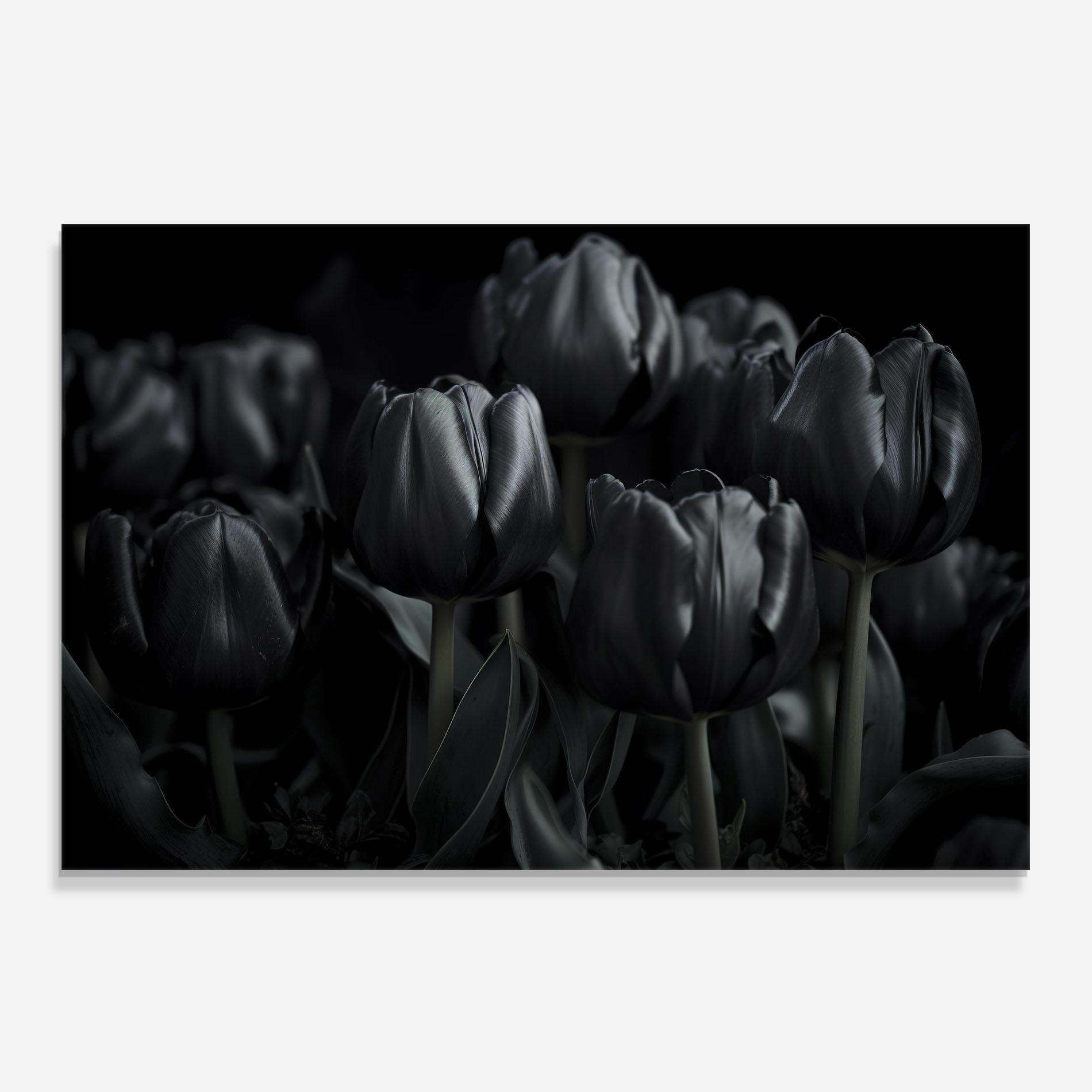 Стъклен панел за кухня Black Tulips mockup 0