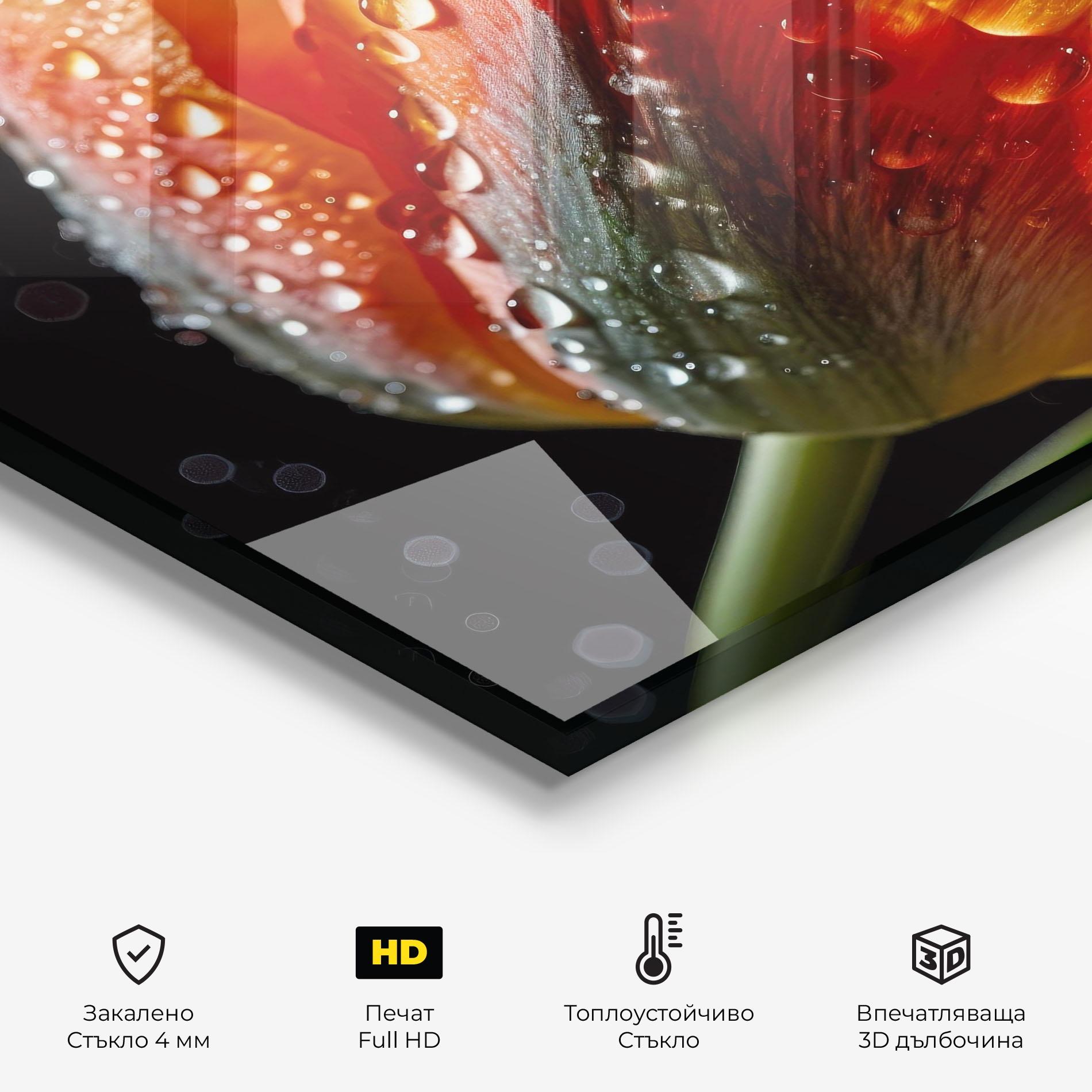 Стъклен панел за кухня Big Wet Orange Tulip mockup 2