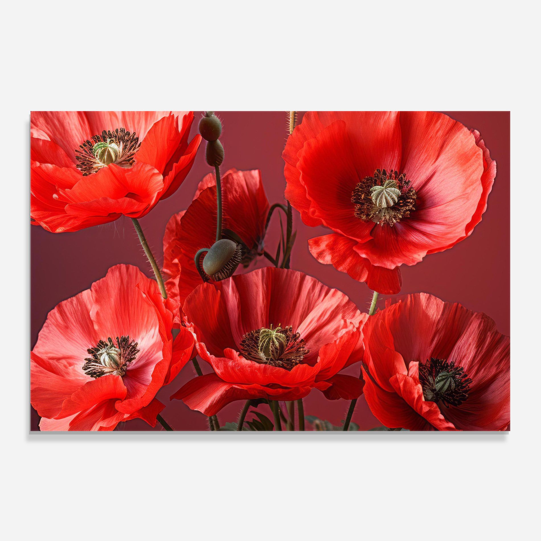 Red Poppies mockup 0