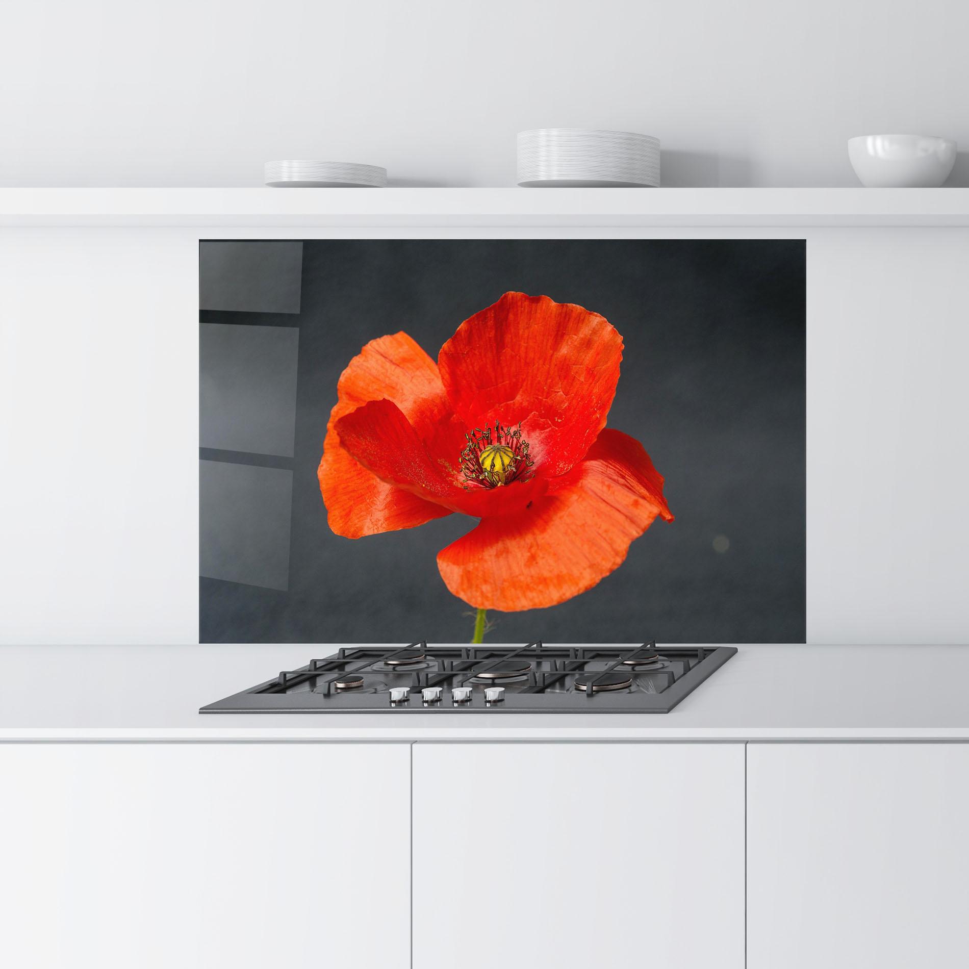 Стъклен панел за кухня Light Red Poppy mockup 9