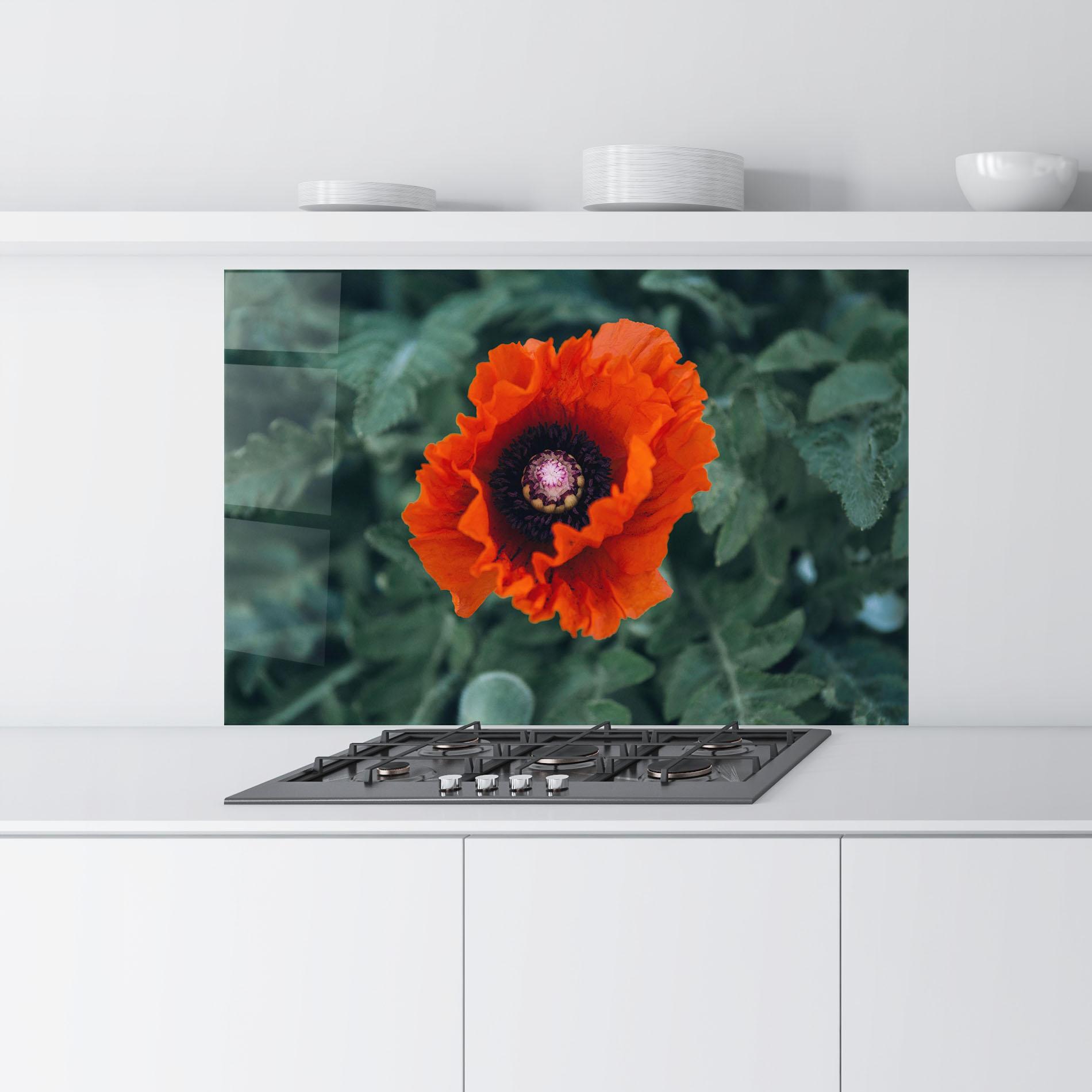 Стъклен панел за кухня Poppy From The Garden mockup 9