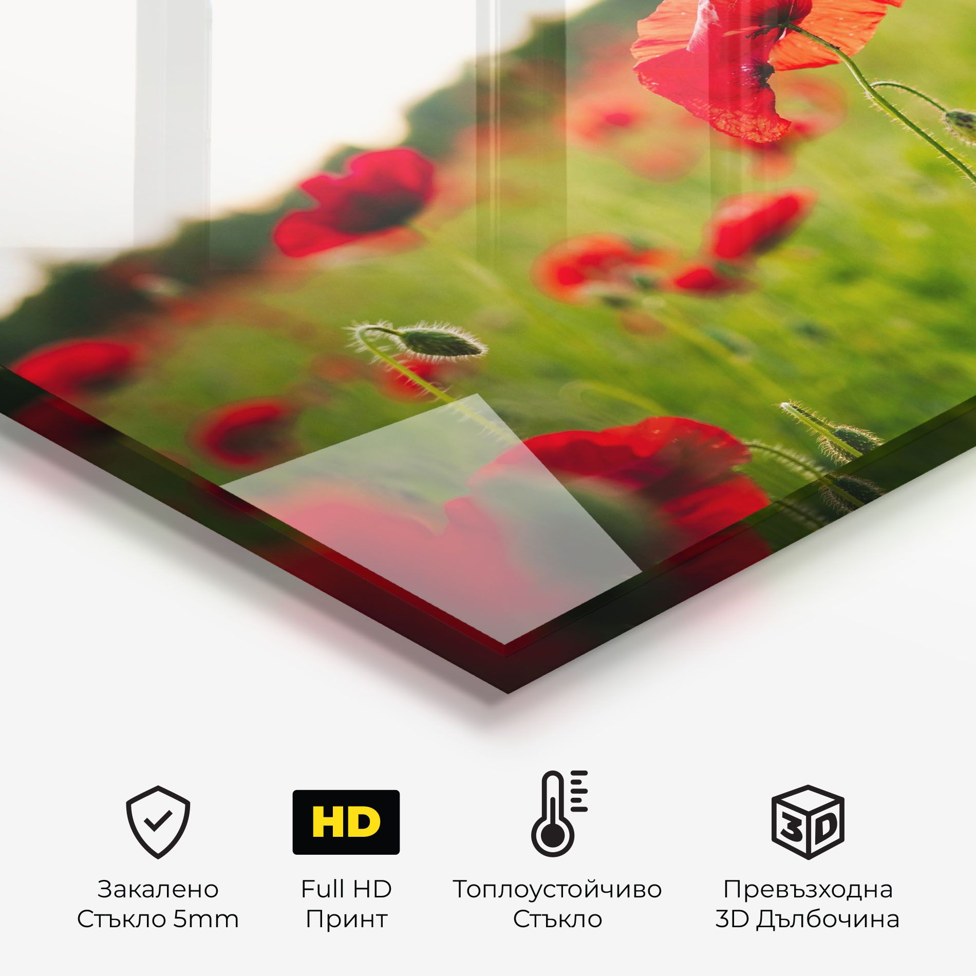 Poppies Field mockup 2