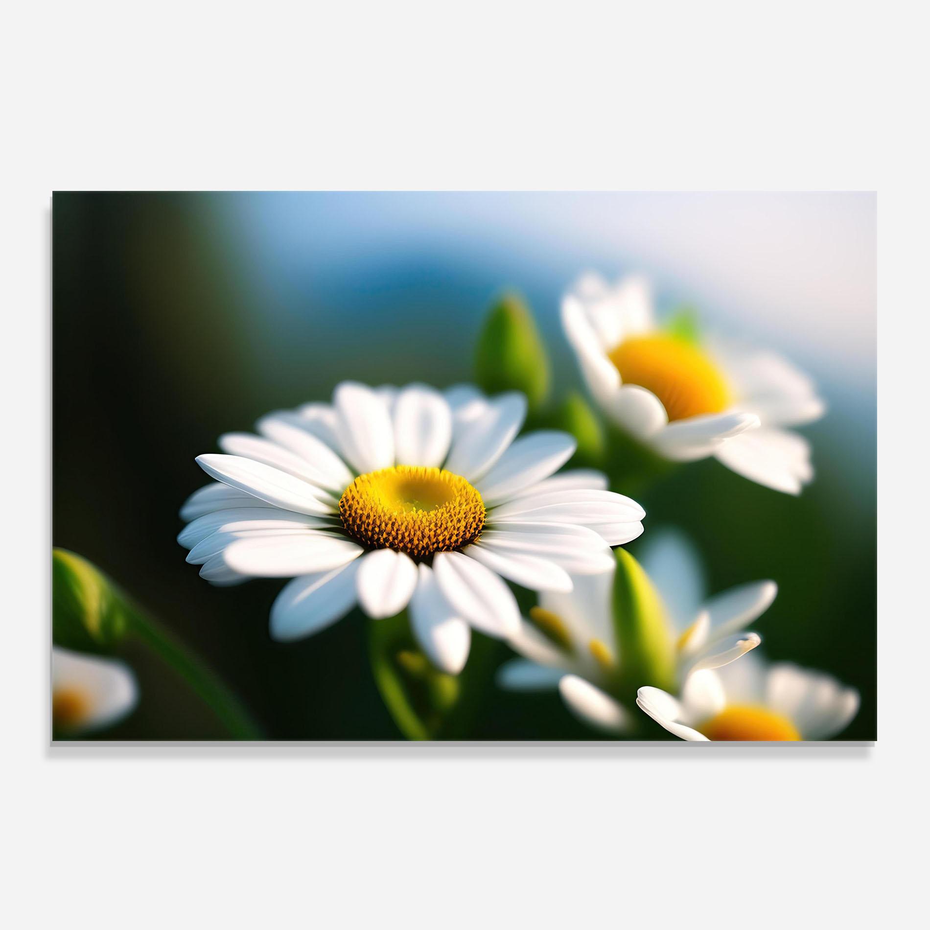 Стъклен панел за кухня Daisy In The Sun mockup 0