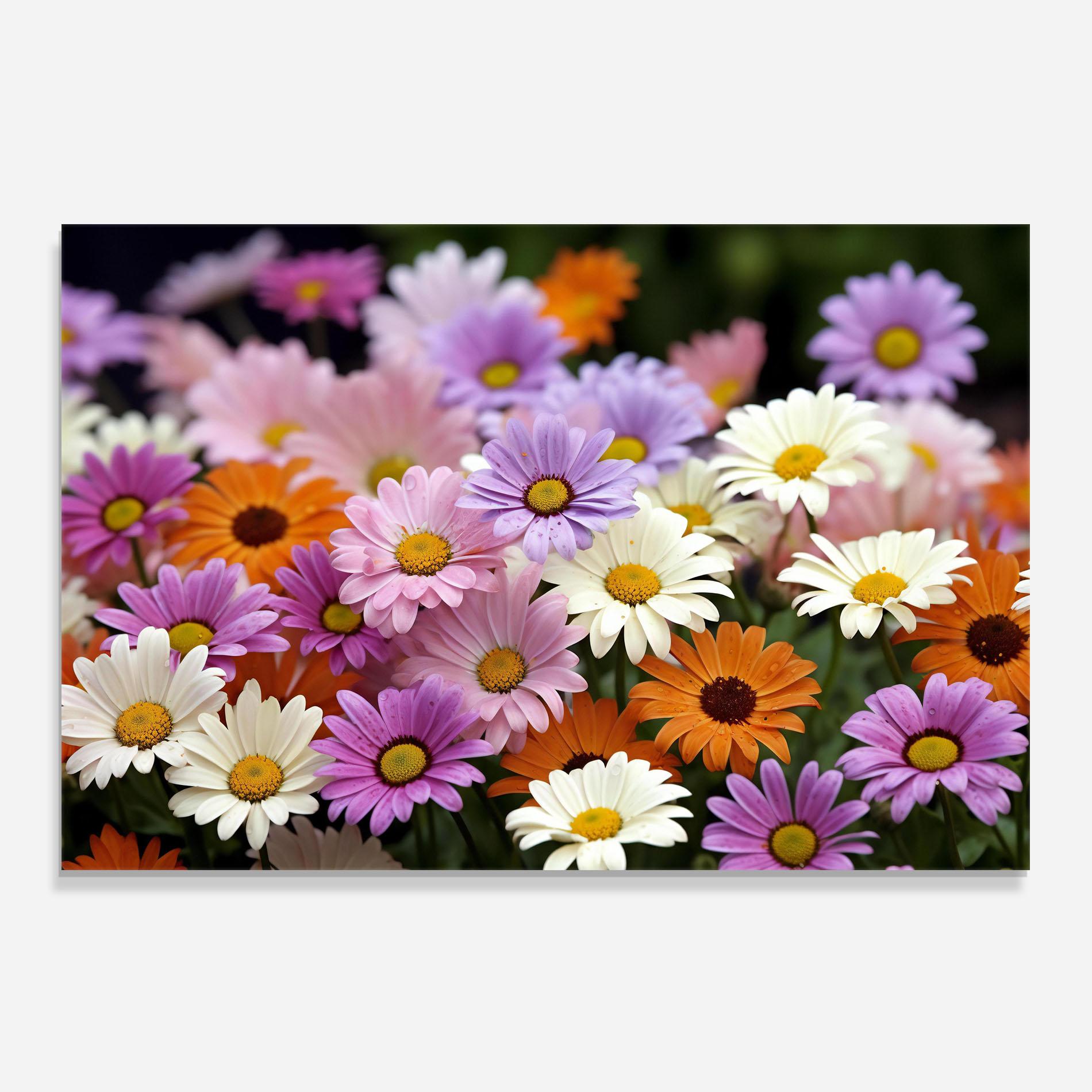 Стъклен панел за кухня Orange Purple Daisy Mix mockup 0
