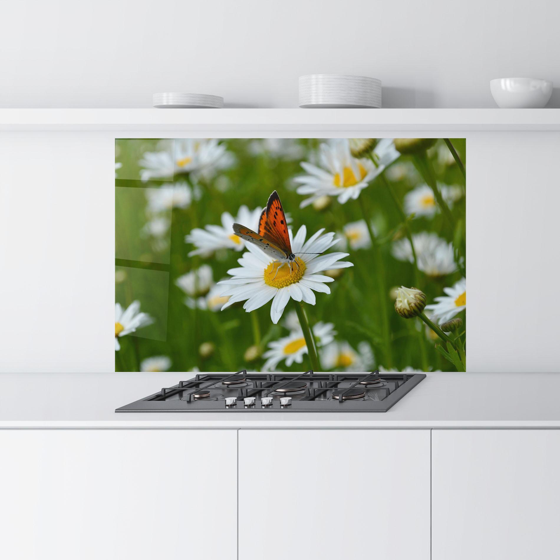 Стъклен панел за кухня Butterfly On Daisy mockup 9