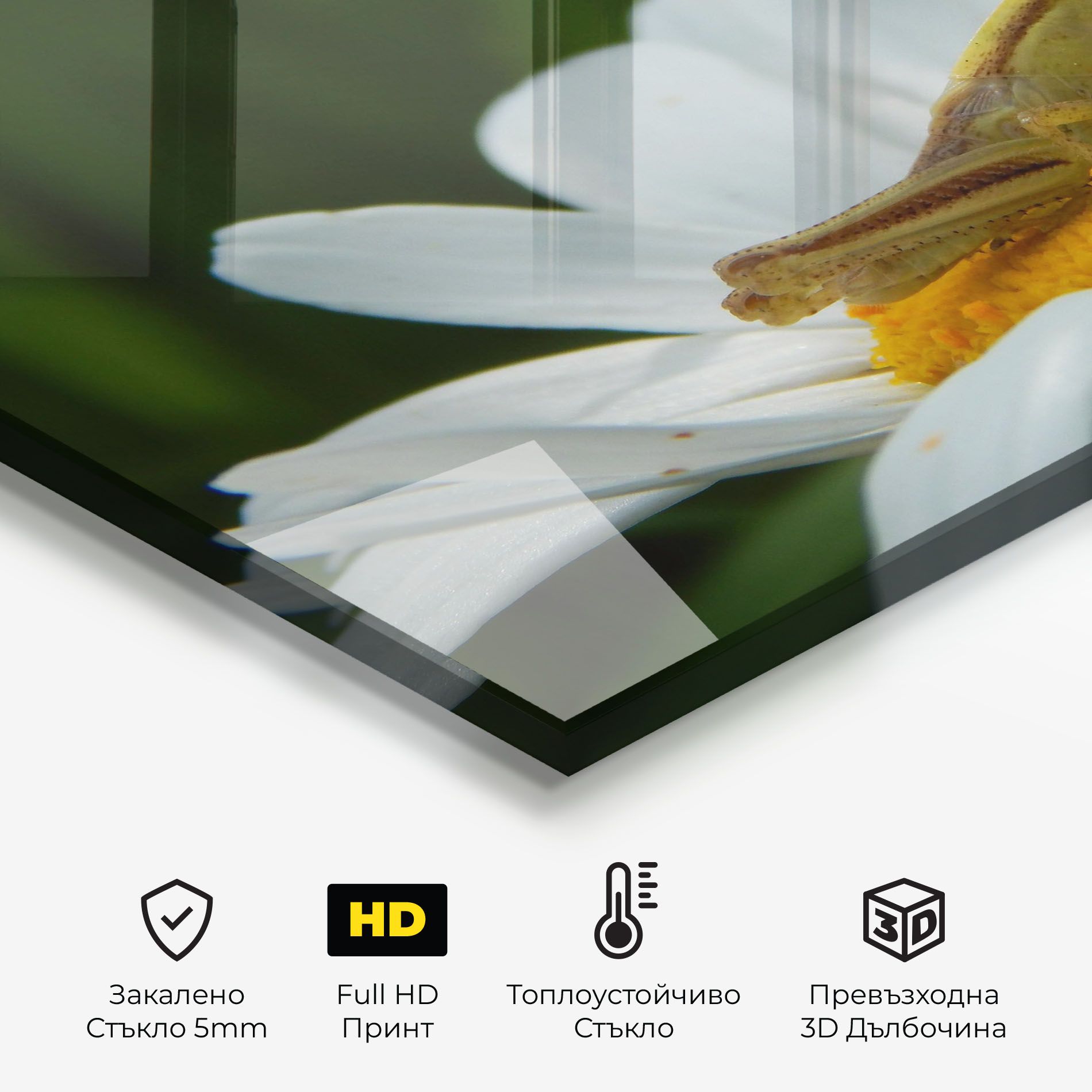 Cricket On Daisy mockup 2