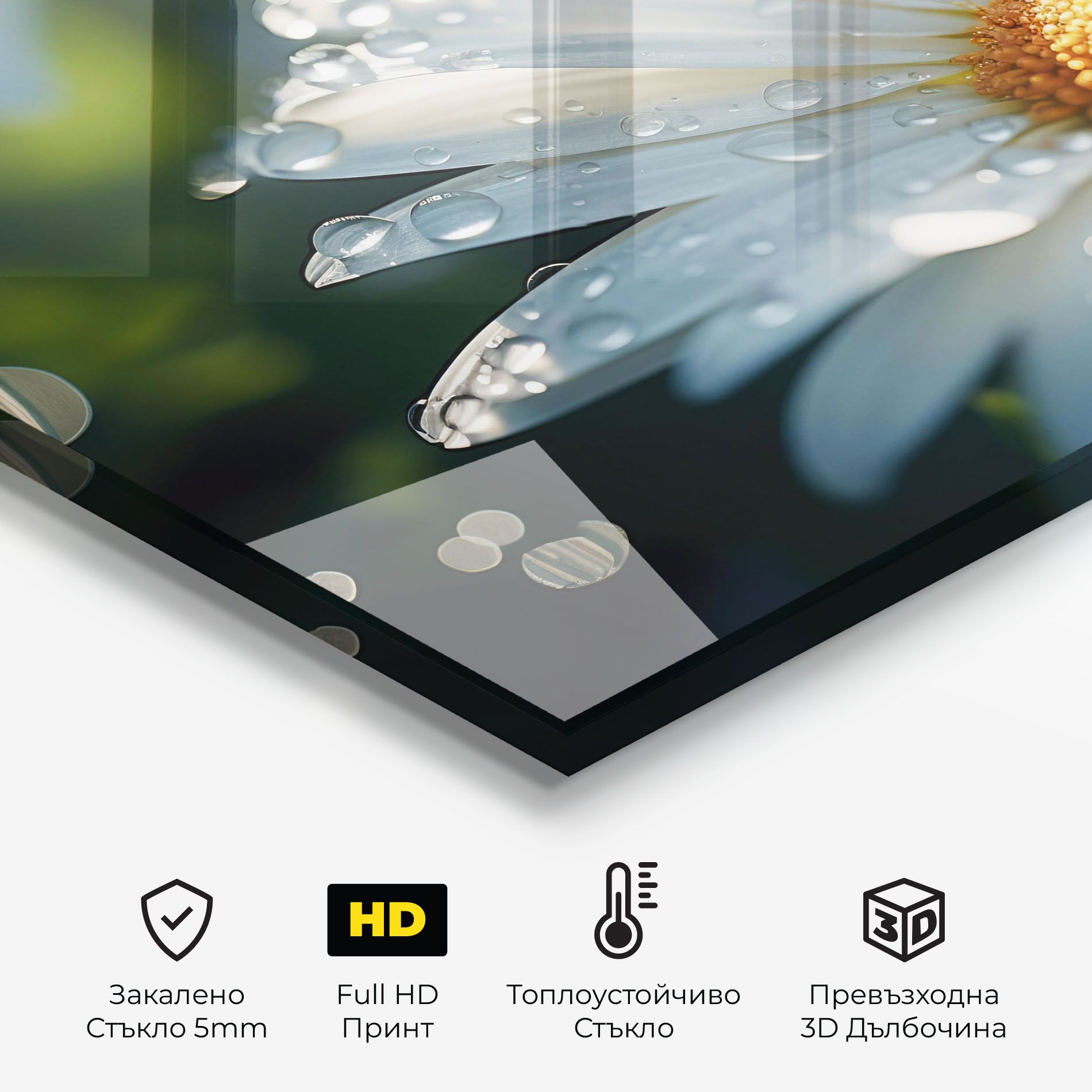 Daisy After Rain Close Up mockup 2