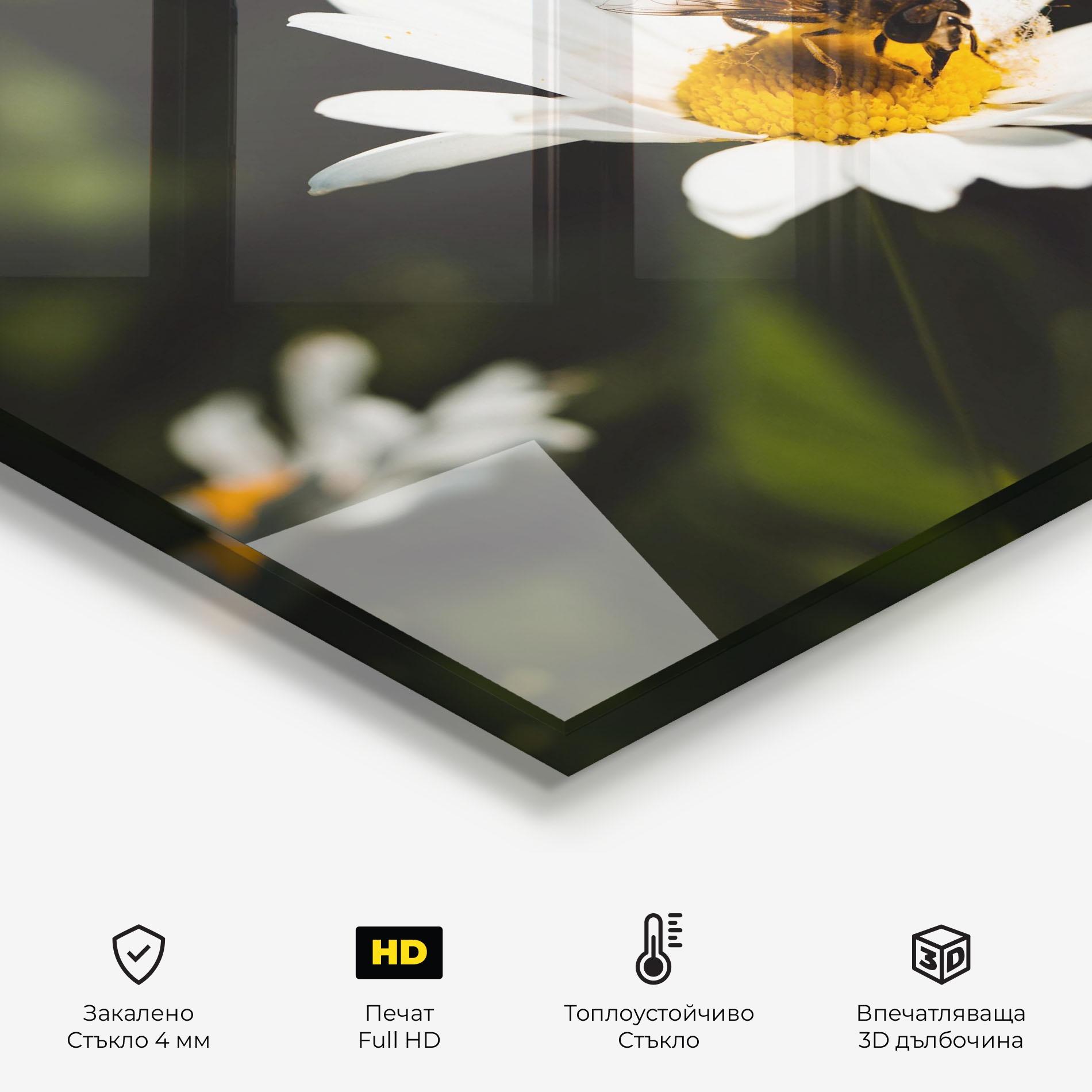 Стъклен панел за кухня Bee Flying On Daisy mockup 2