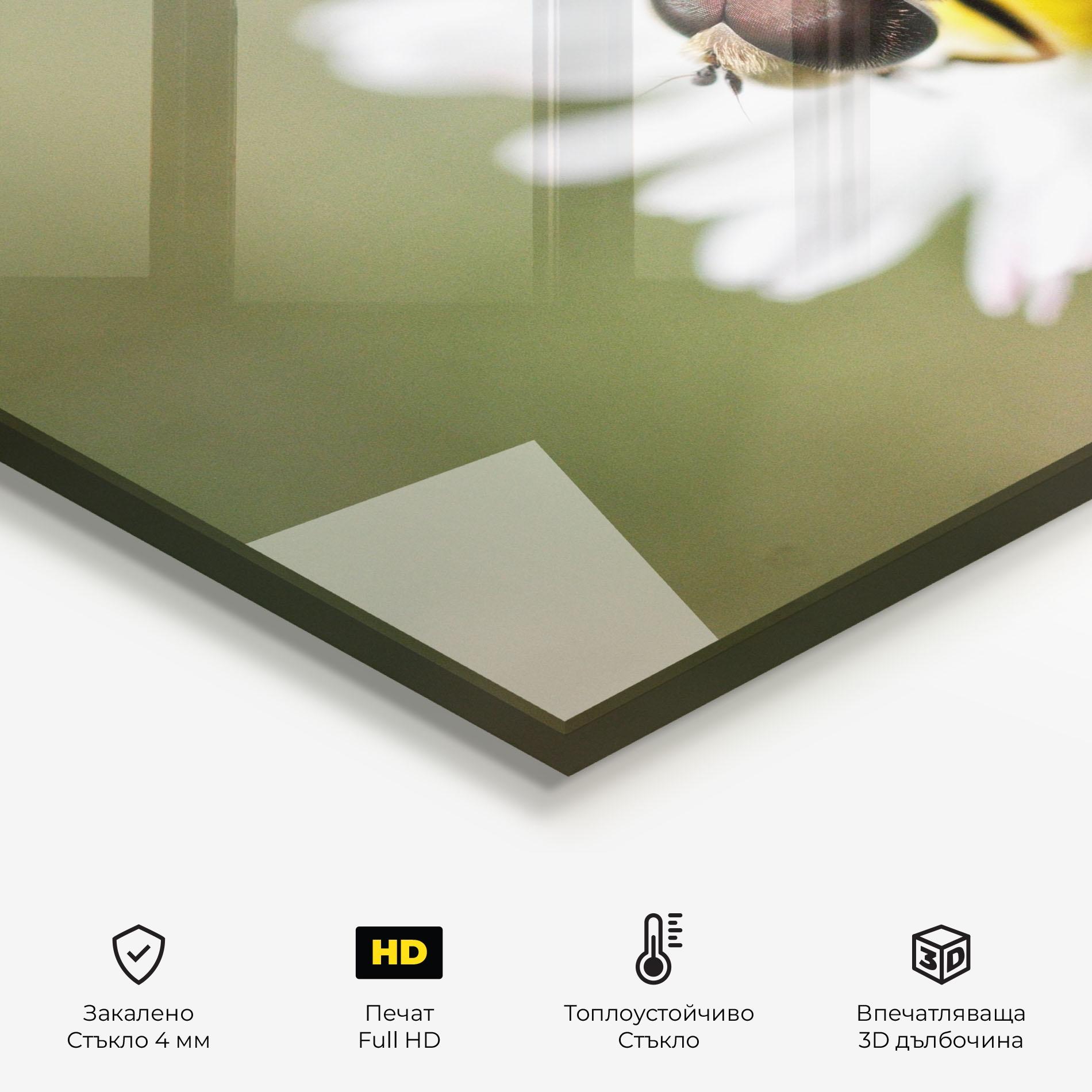 Стъклен панел за кухня Bee On Small Daisy mockup 2