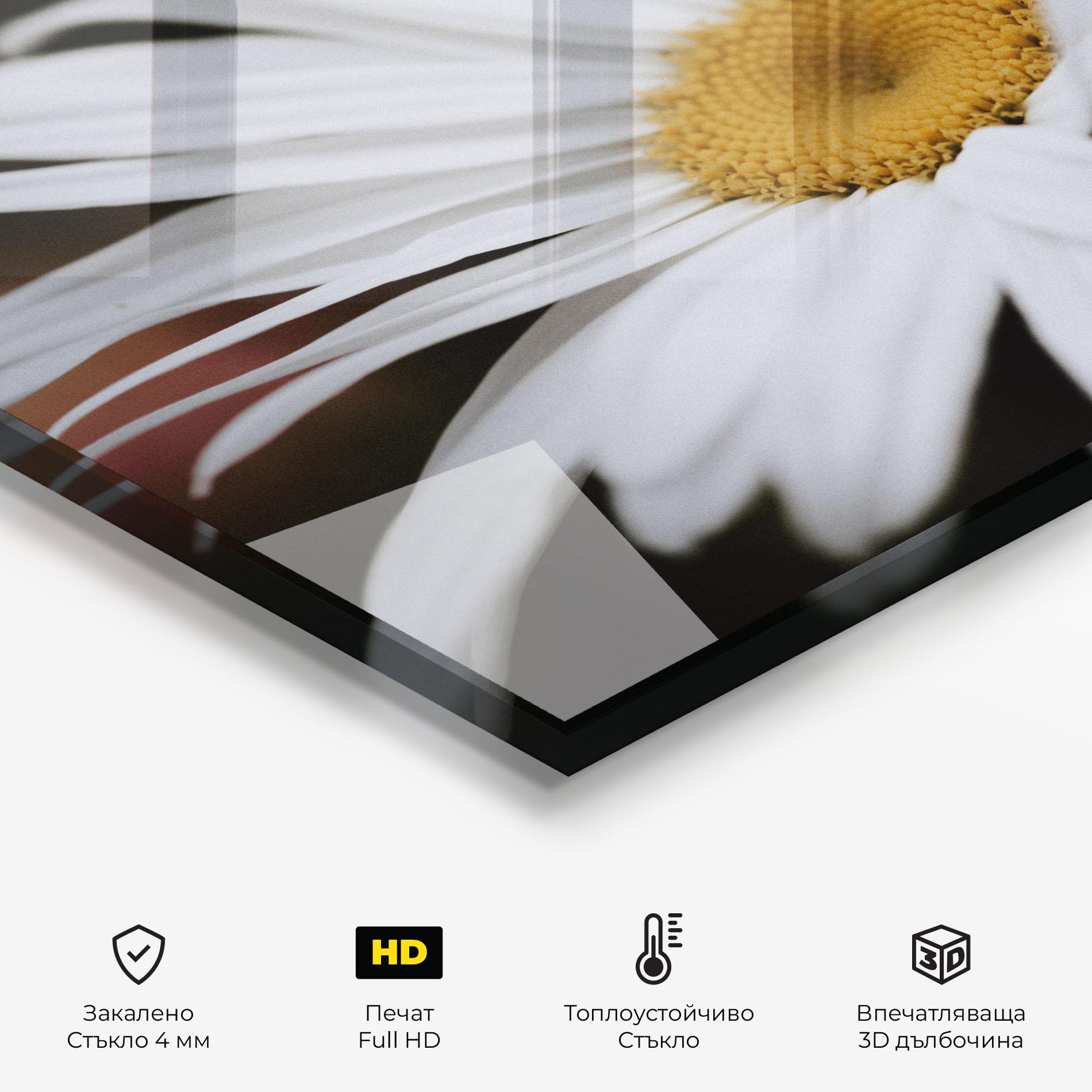 Стъклен панел за кухня Big Daisy mockup 2